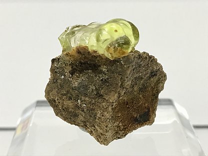 palo (variedad hyalita). 