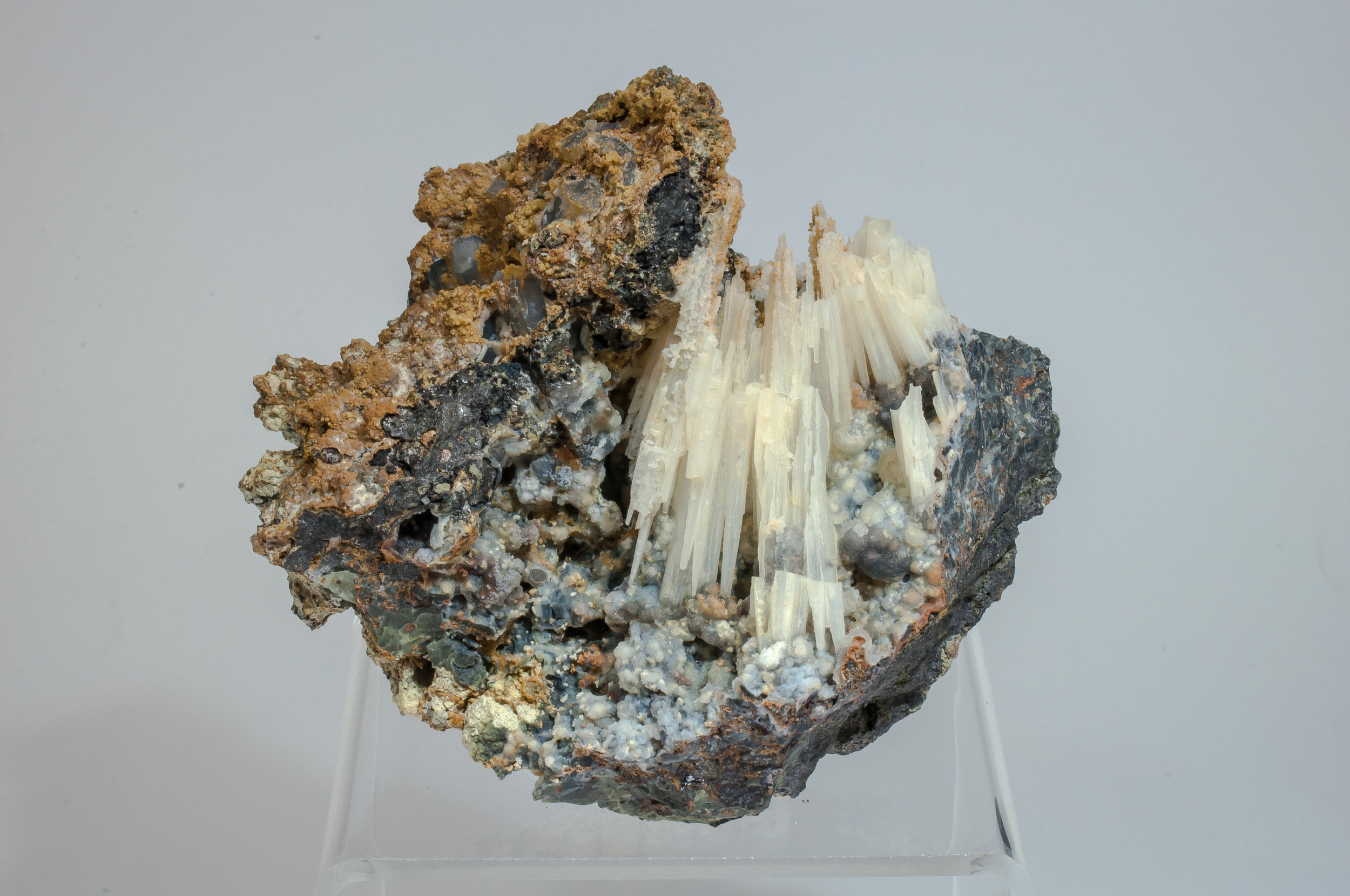 specimens/s_fastAM2/XM140TC.jpg