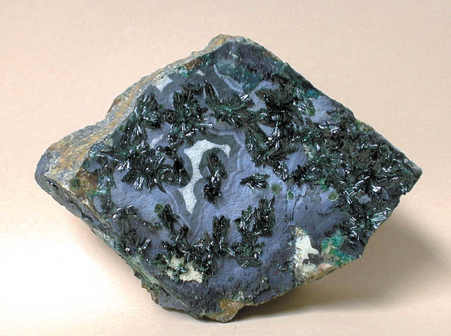 specimens/s_images28/FZ16.jpg