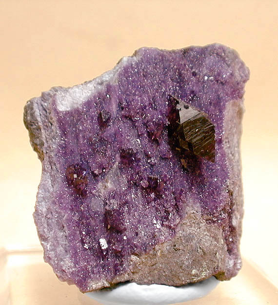 specimens/s_images29/FY26.jpg