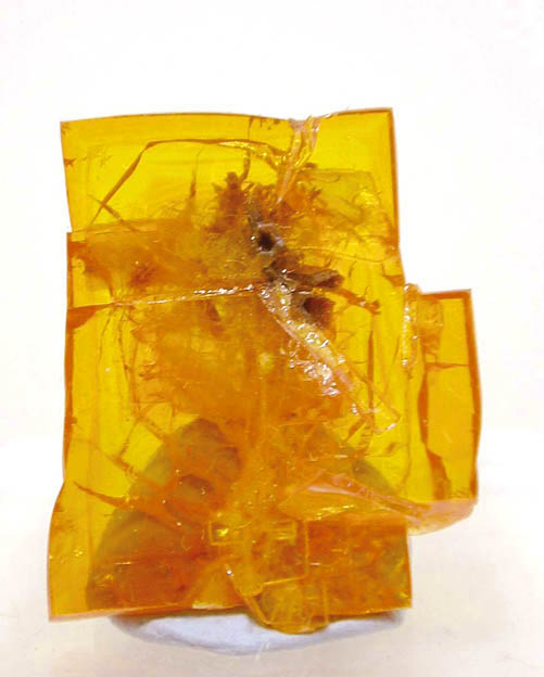 specimens/s_images30/FV51.jpg