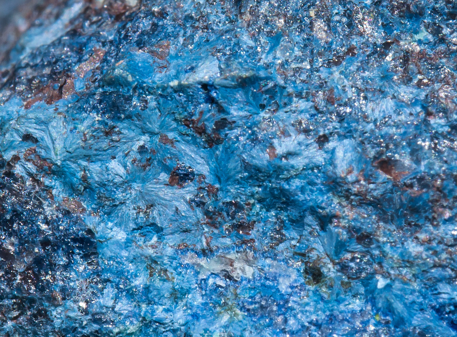 specimens/s_imagesAB7/Ajoite-RY11AB7d.jpg