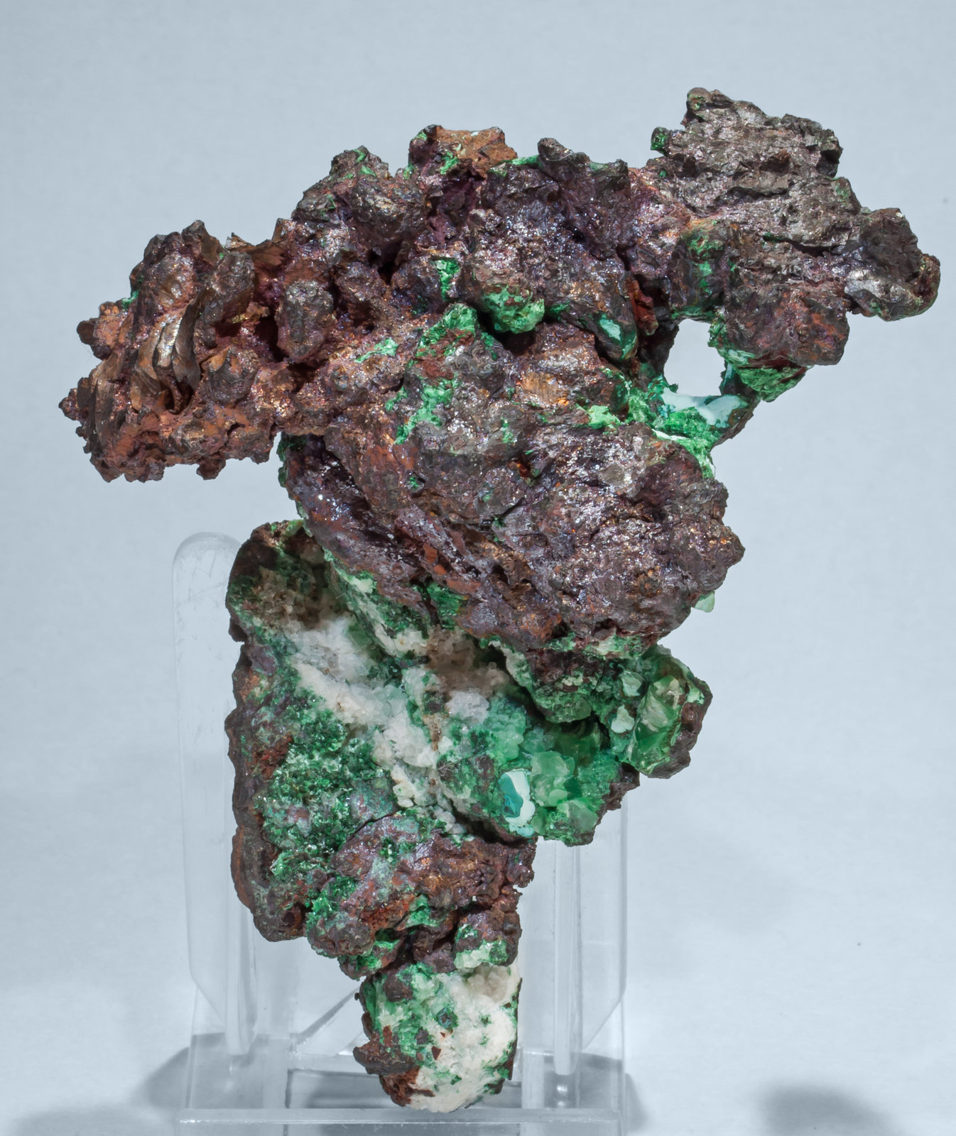 specimens/s_imagesAF6/Copper-TJ87AF6f.jpg