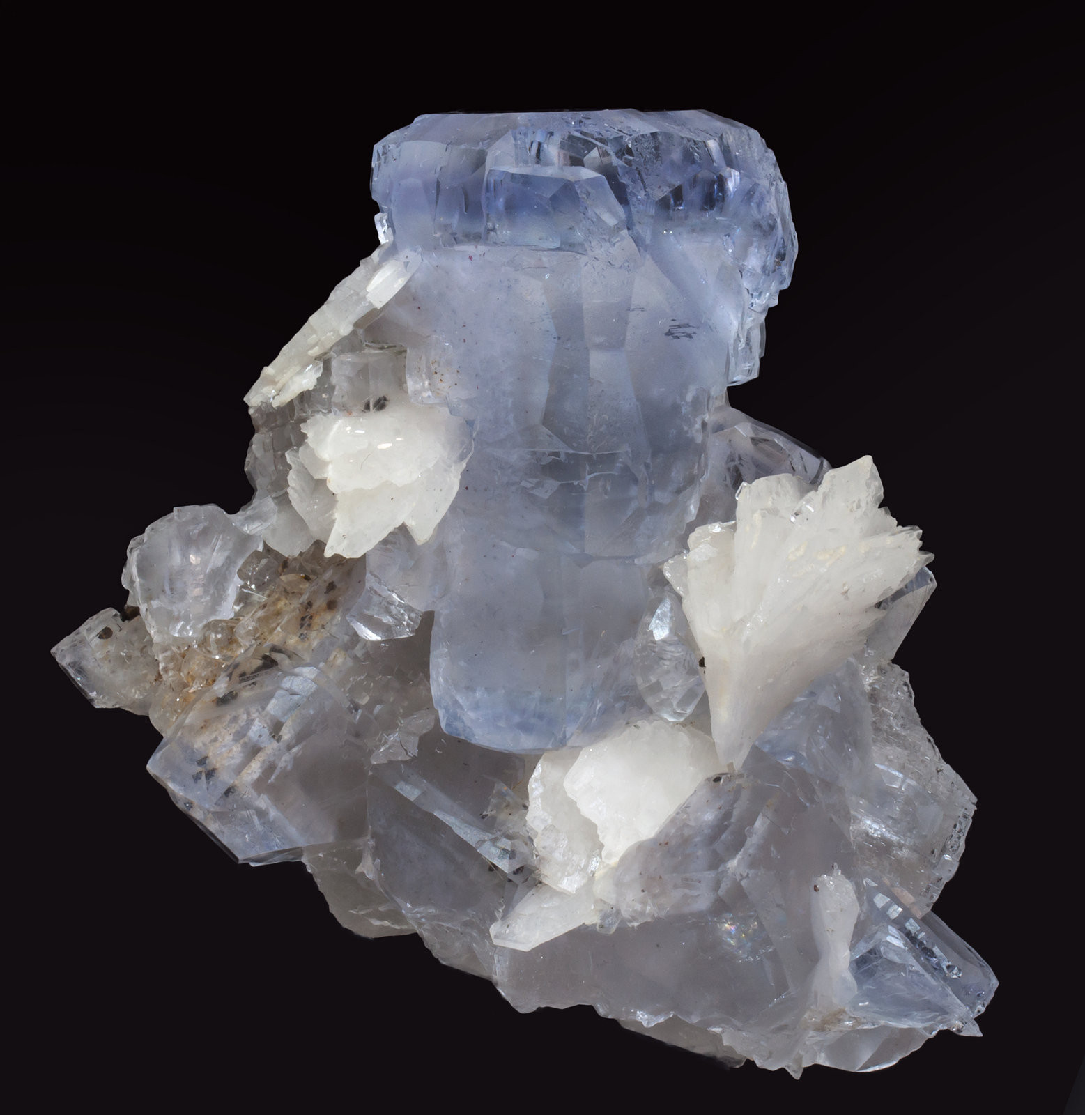 specimens/s_imagesAI8/Fluorite-EG89AI8f.jpg