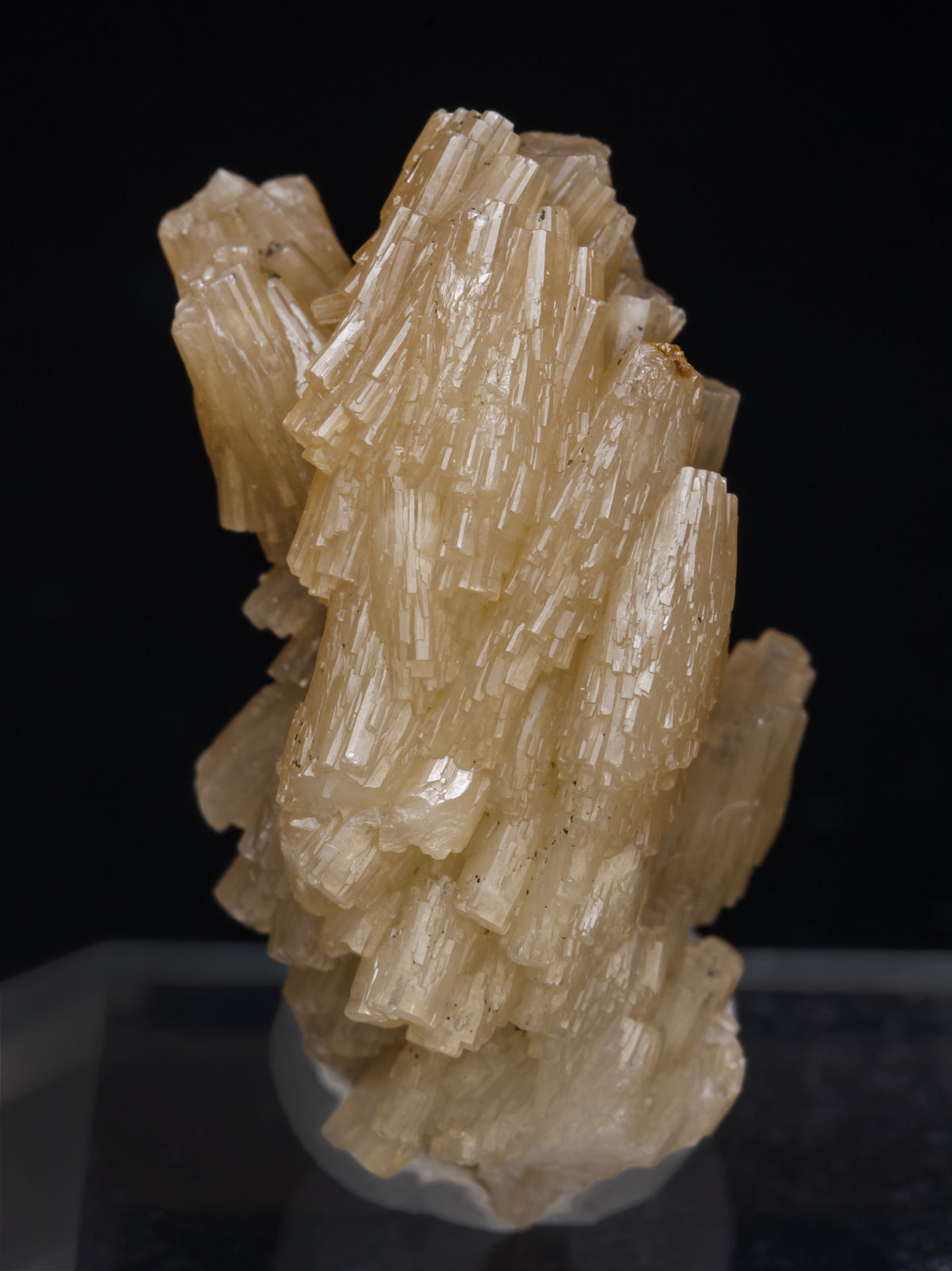 specimens/s_imagesAJ7/Pyromorphite-CD14AJ7f.jpg