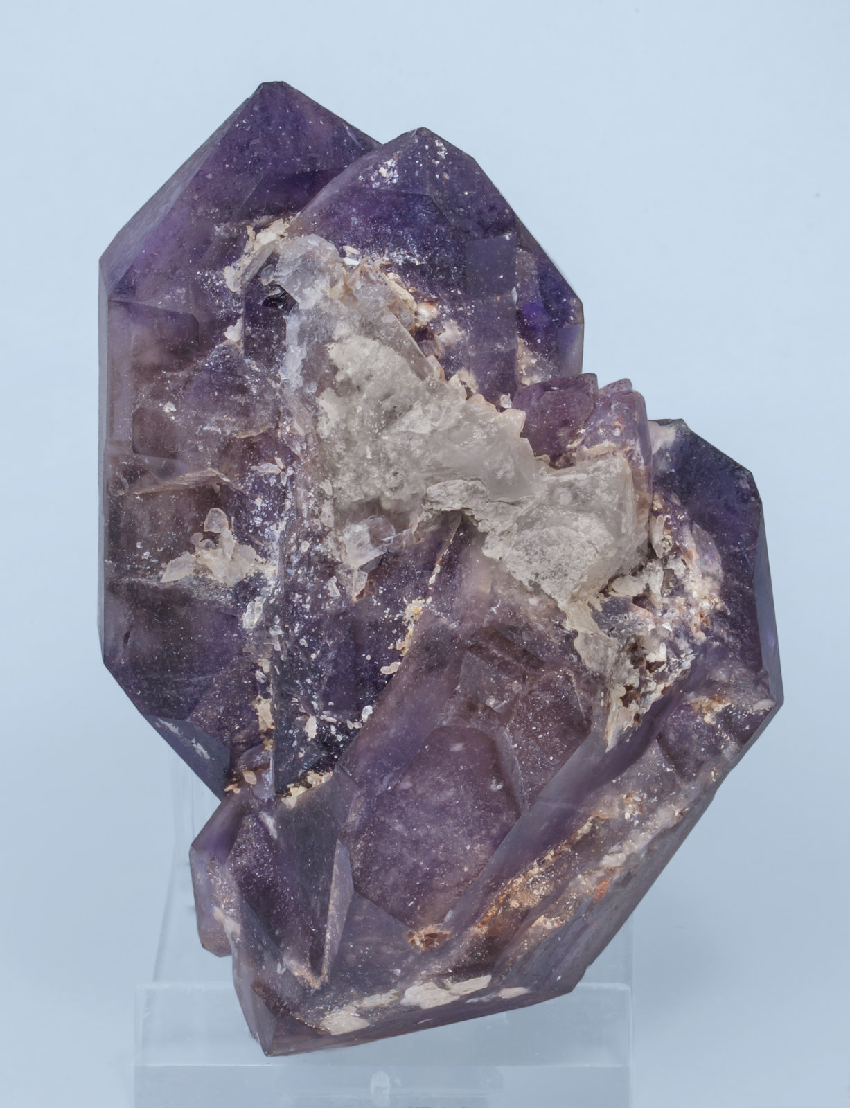specimens/s_imagesAL0/Quartz_amethyst-EJ97AL0r.jpg