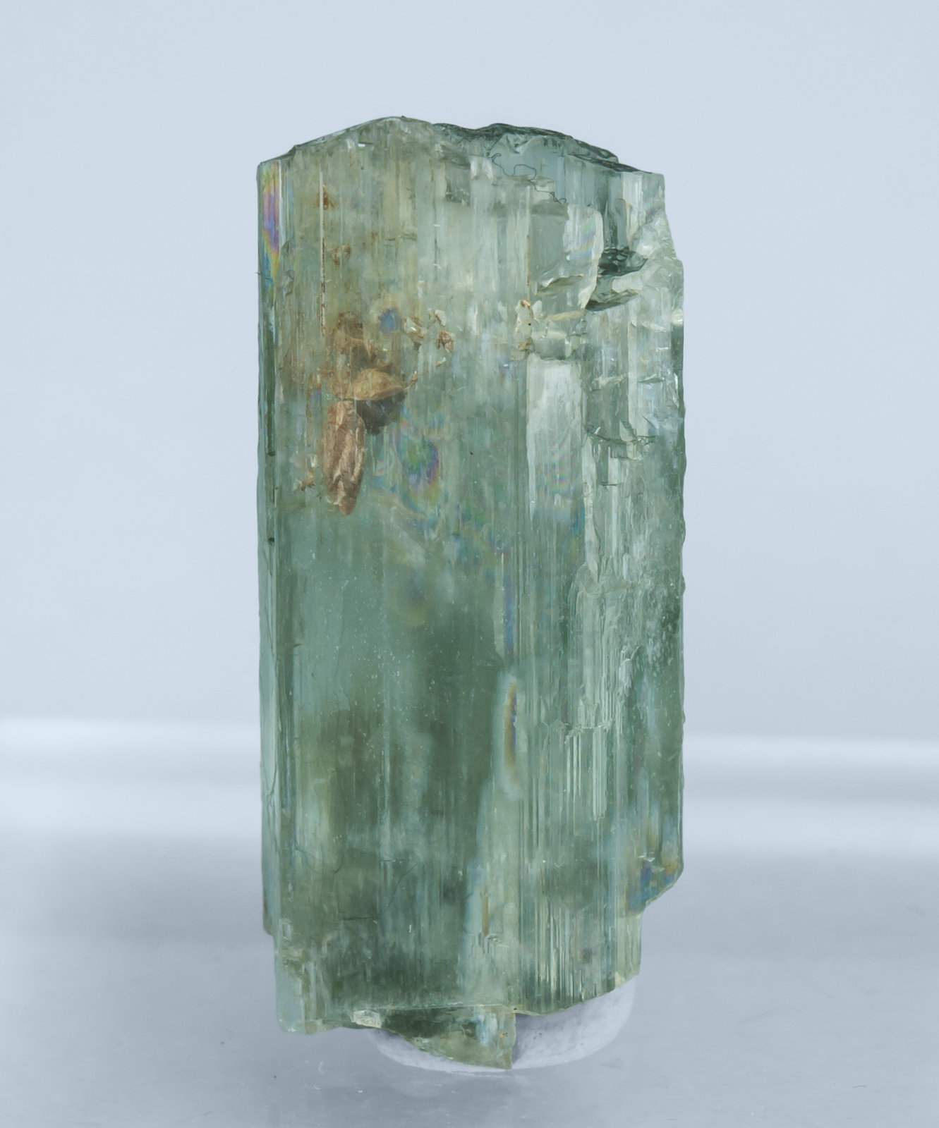 specimens/s_imagesAL1/Tremolite-TT56AL1r.jpg