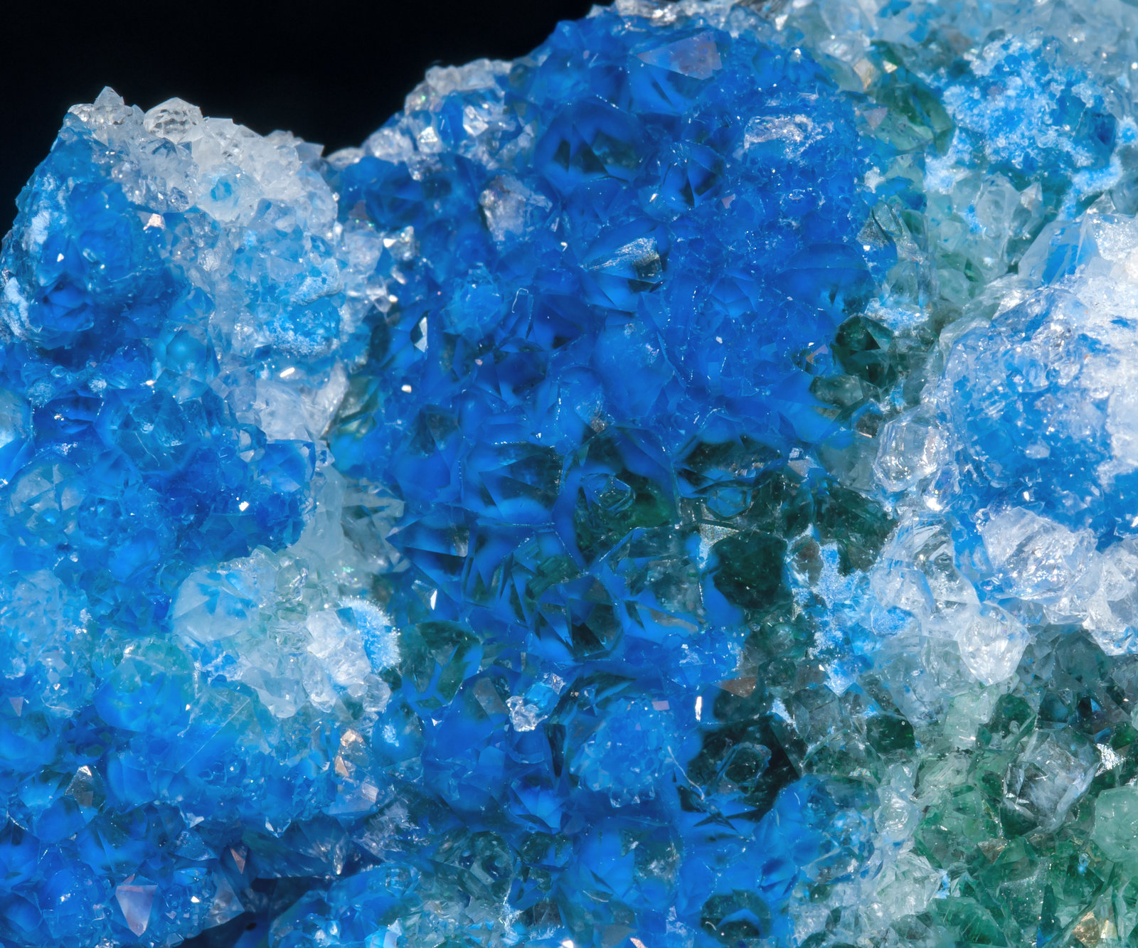 specimens/s_imagesAL2/Shattuckite-TT52AL2d.jpg