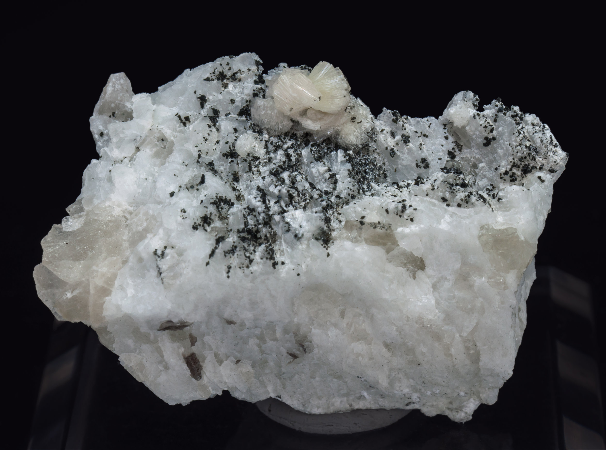 specimens/s_imagesAL3/Bavenite-NE62AL3f.jpg