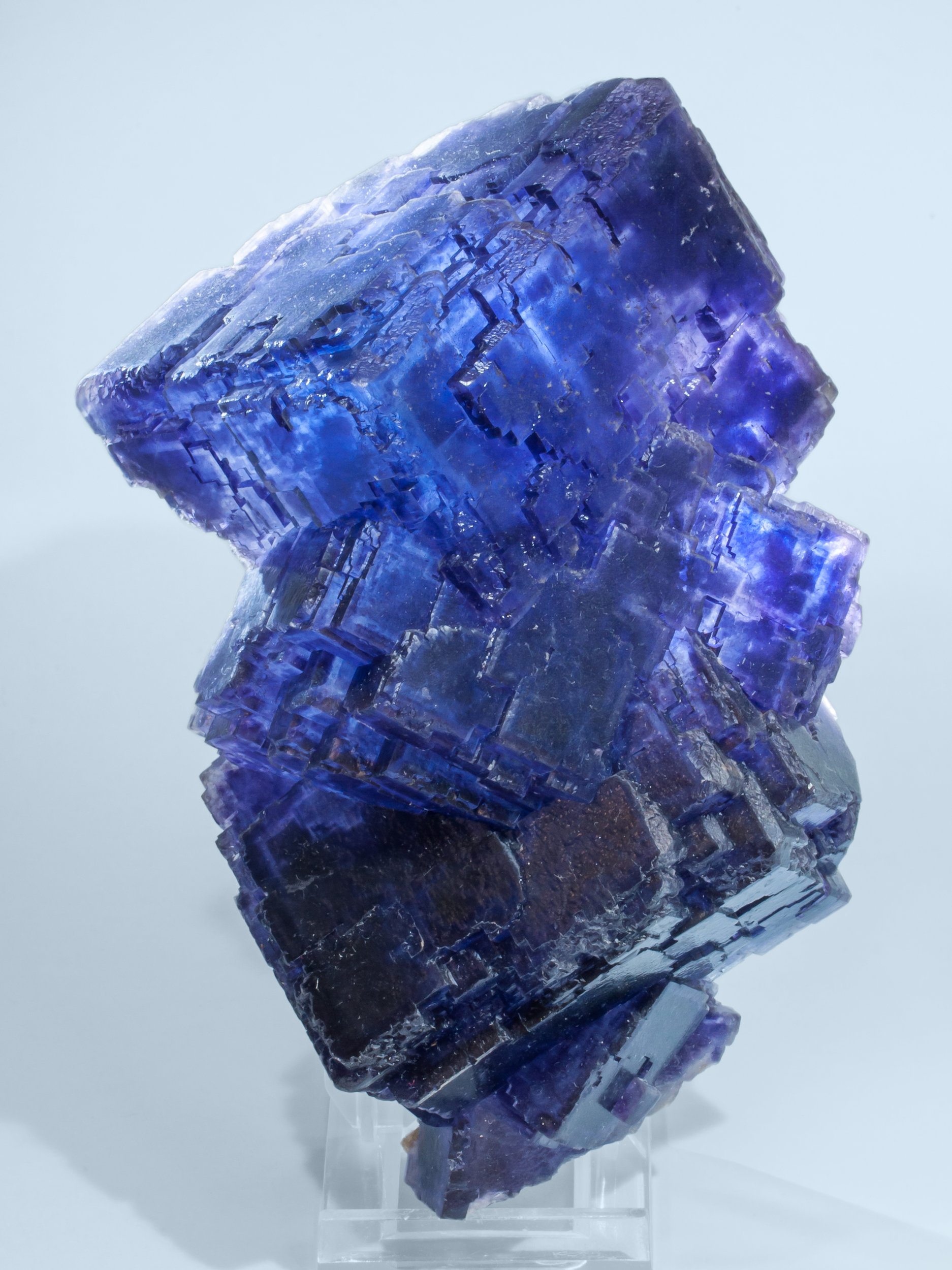 specimens/s_imagesAL3/Fluorite-NJ89AL3f2.jpg