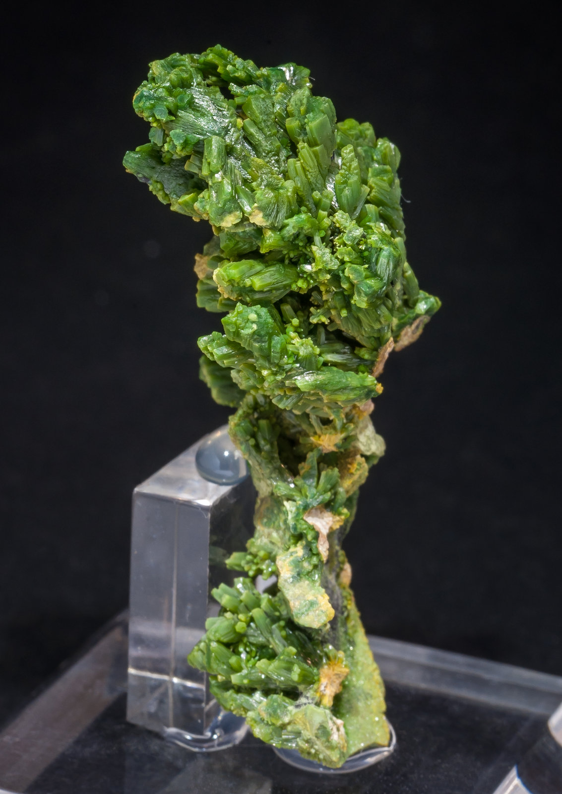specimens/s_imagesAL5/Pyromorphite-EZ47AL5s.jpg
