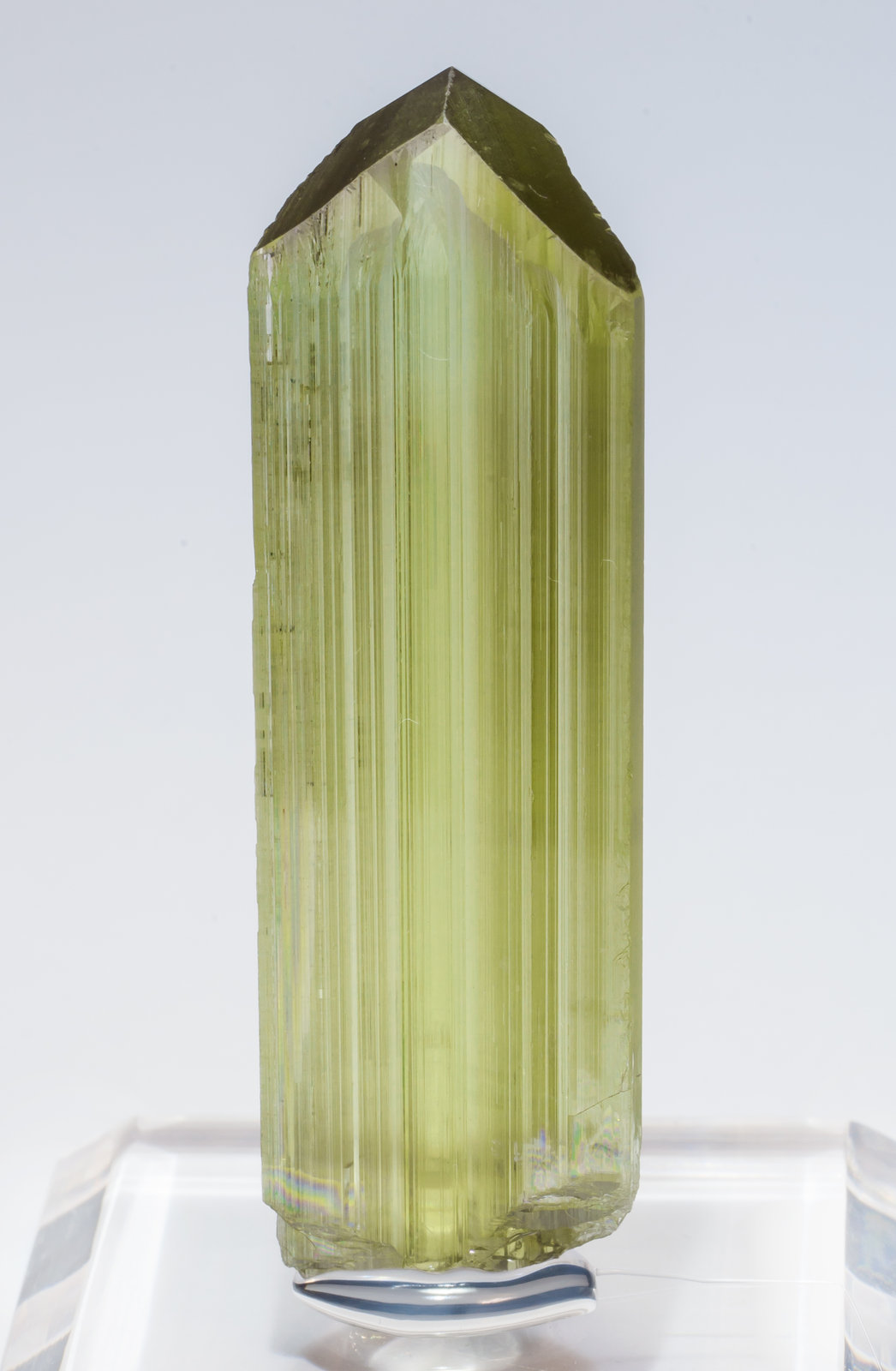 specimens/s_imagesAL6/Diaspore-EF26AL6f1.jpg