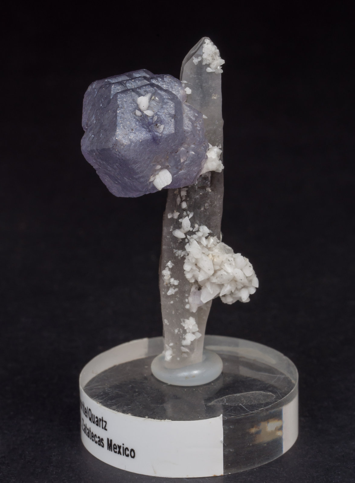 specimens/s_imagesAL7/Fluorite-FD97AL7s.jpg