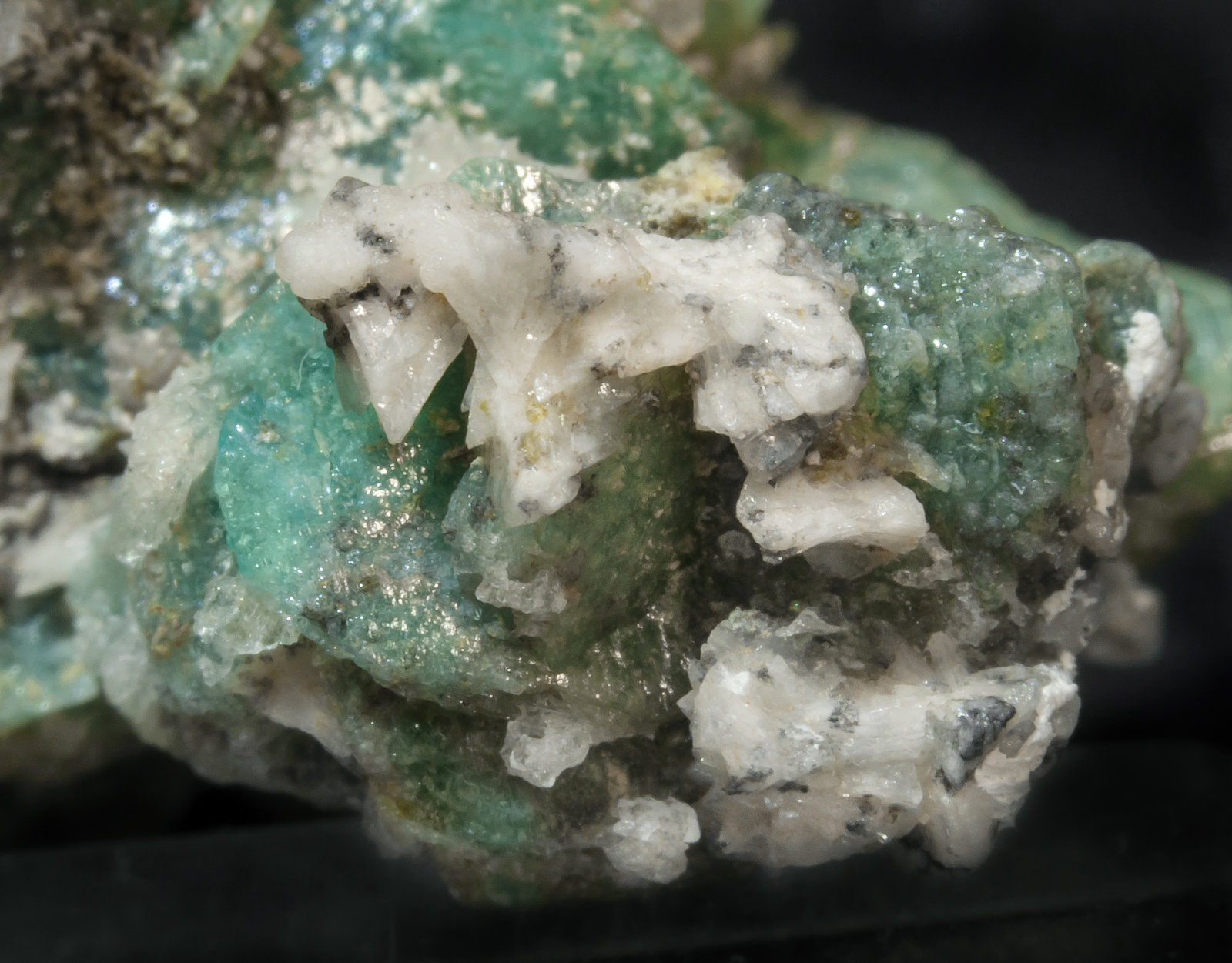 specimens/s_imagesAM1/Borcarite-EB92AM1d2.jpg