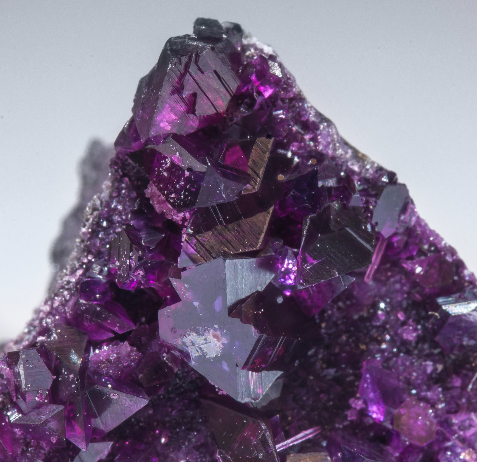 specimens/s_imagesAM1/Clinochlore_Kammererite-EM86AM1d.jpg