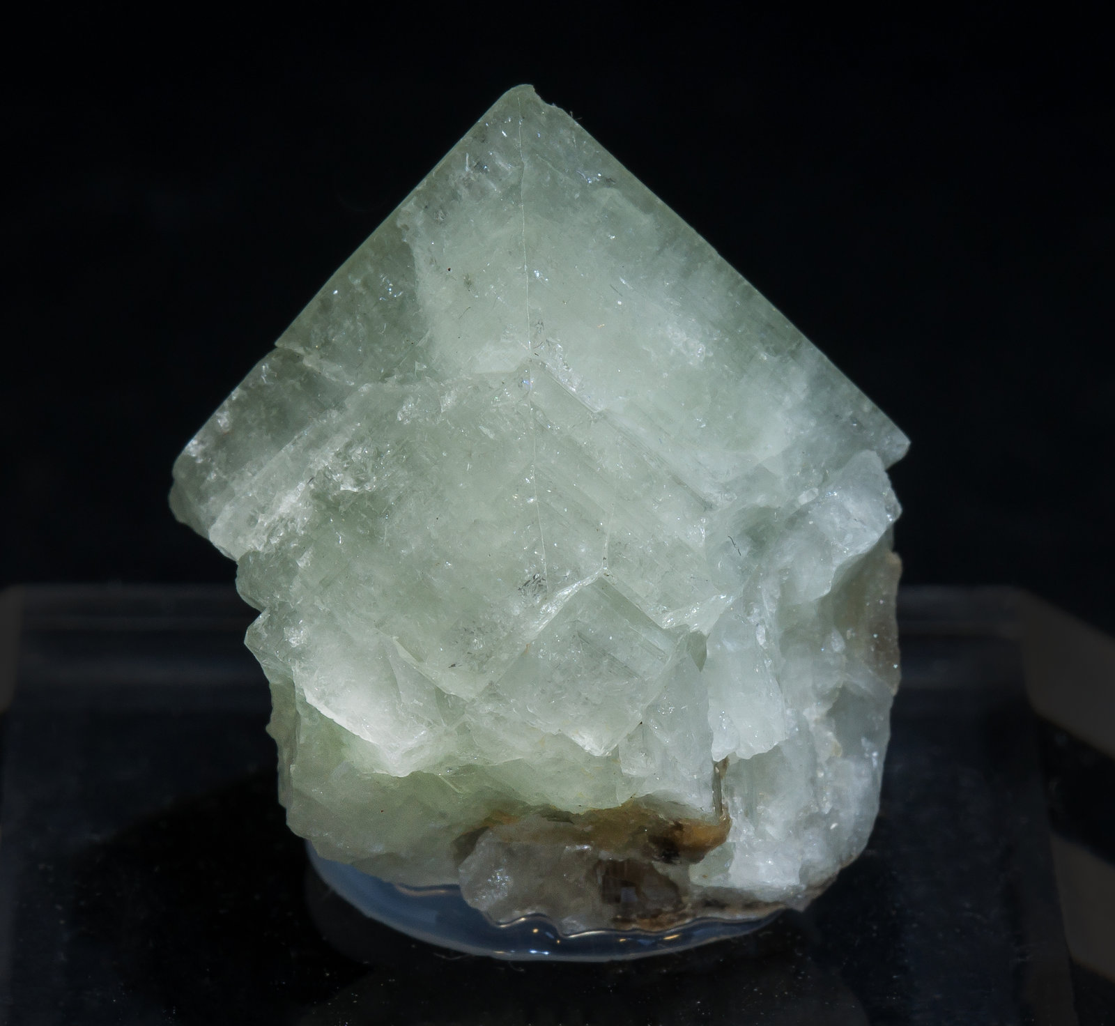 specimens/s_imagesAM2/Wardite-MA14AM2f.jpg