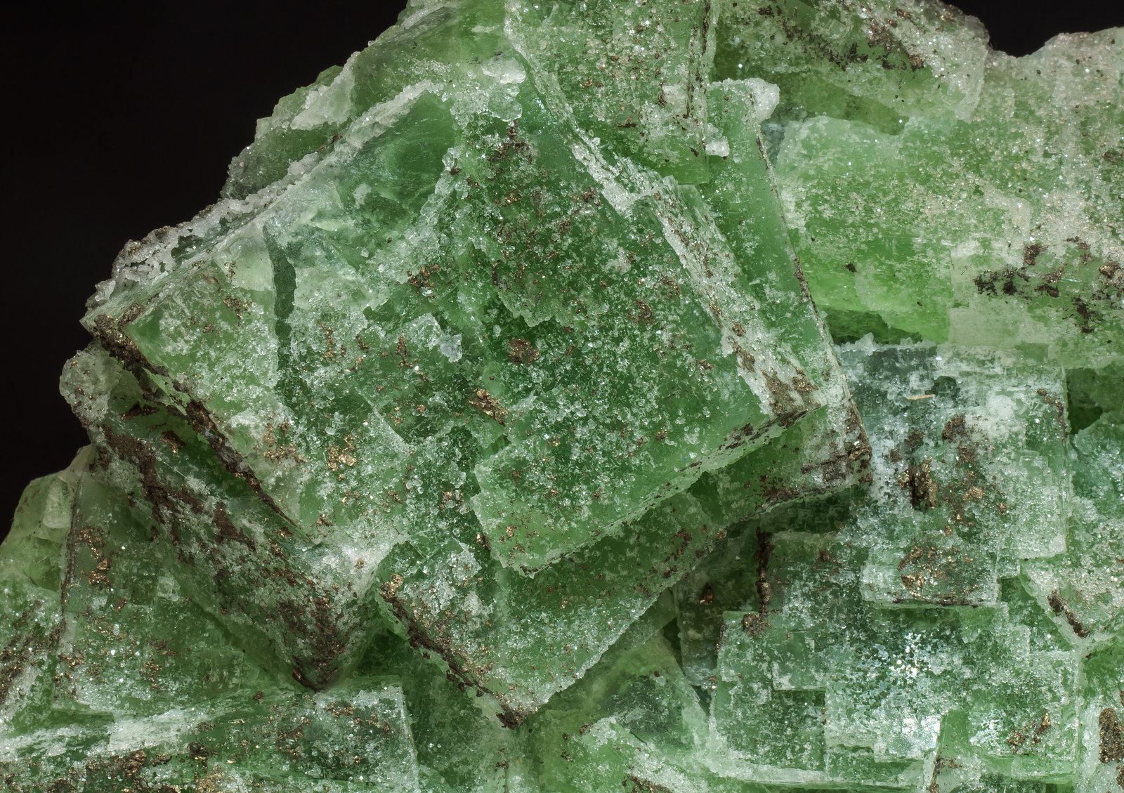 specimens/s_imagesAM3/Fluorite-ER50AM3d.jpg