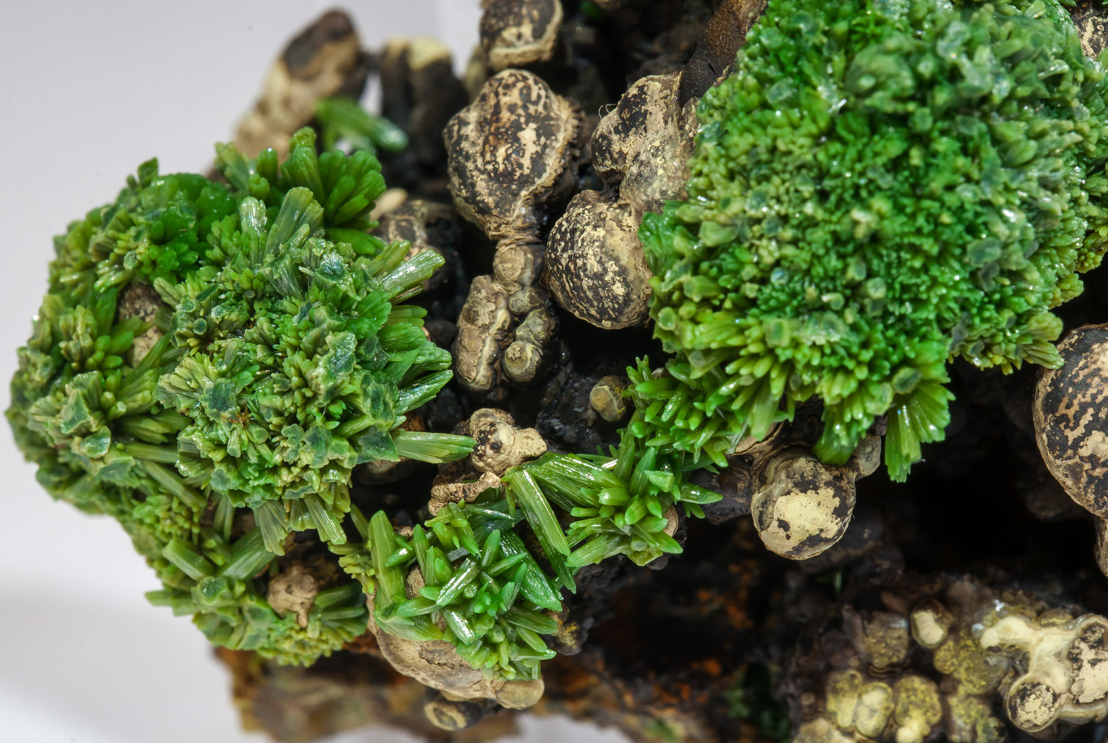 specimens/s_imagesAM3/Pyromorphite-ED29AM3d.jpg