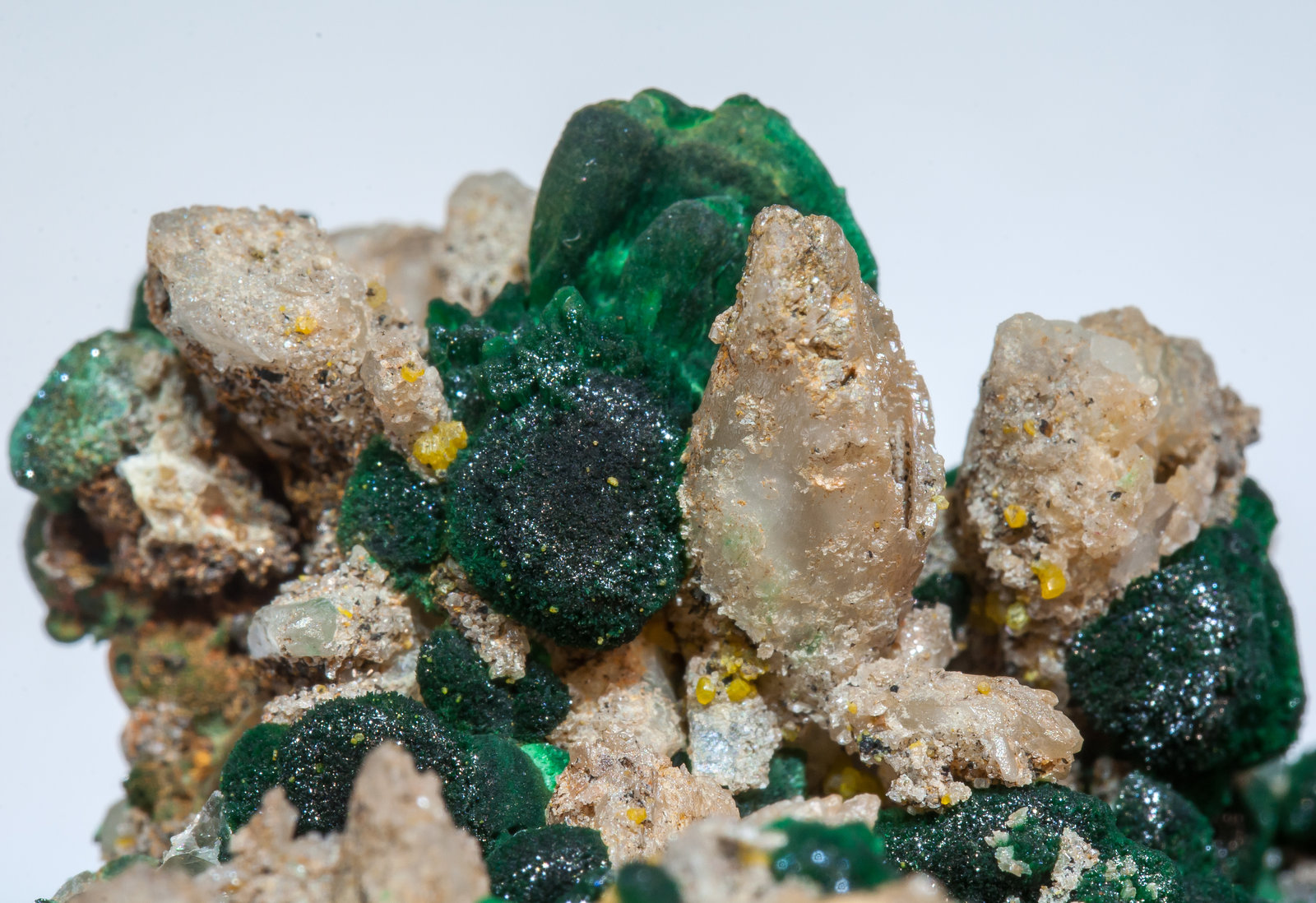specimens/s_imagesAM5/Cerussite-NG86AM5d.jpg