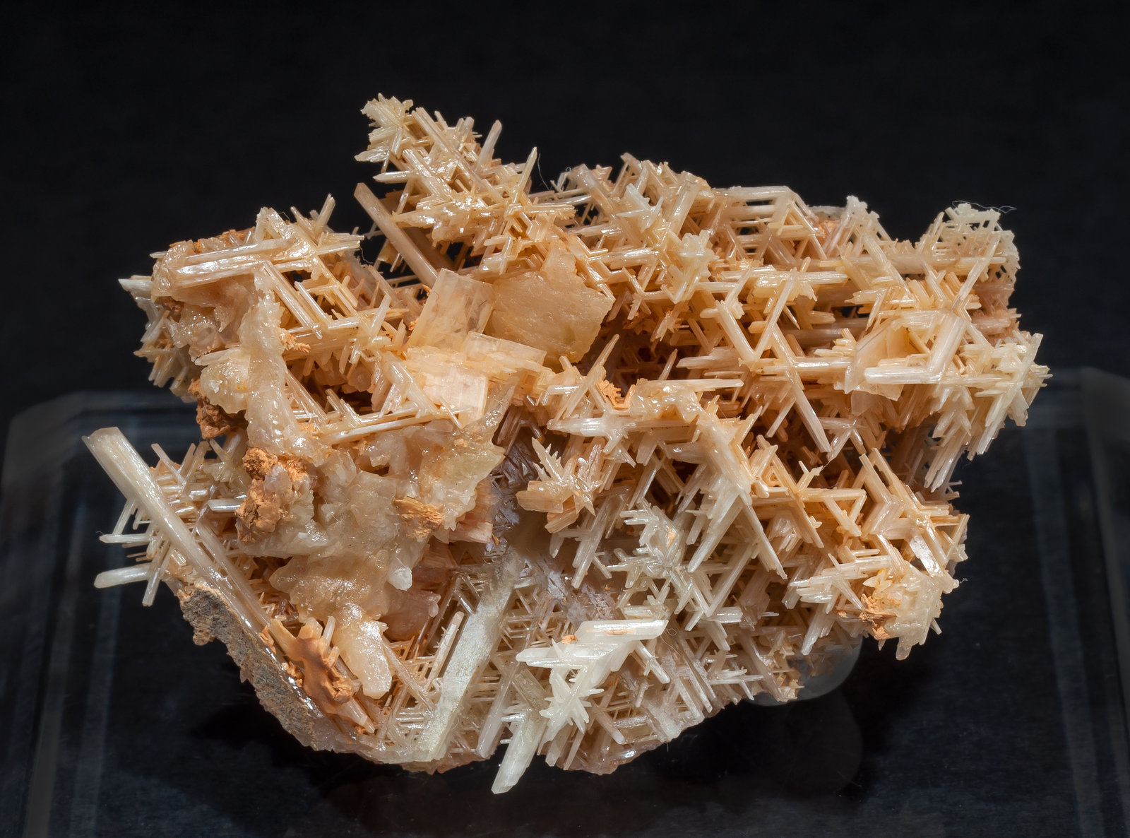 specimens/s_imagesAM5/Cerussite-NH49AM5f.jpg