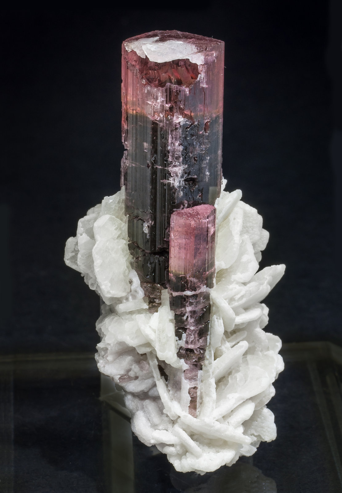 specimens/s_imagesAM5/Elbaite-TR1AM5f.jpg