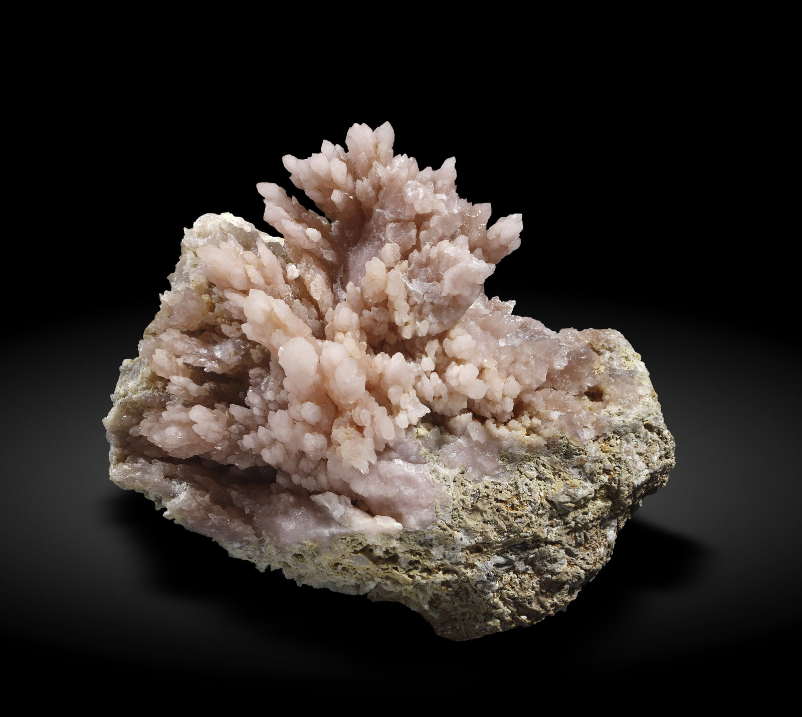 specimens/s_imagesAM5/Quartz_rose-MV66AM5_2899_f.jpg