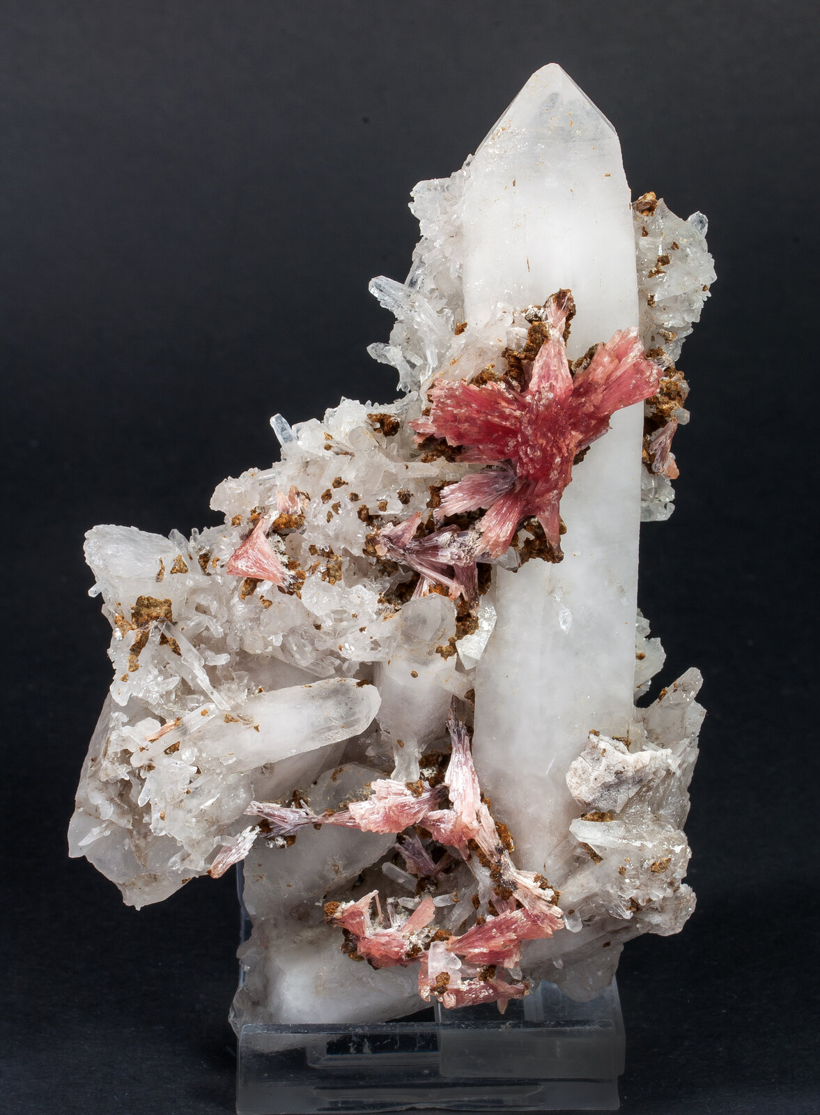 specimens/s_imagesAM8/Inesite-TF71AM8f.jpg