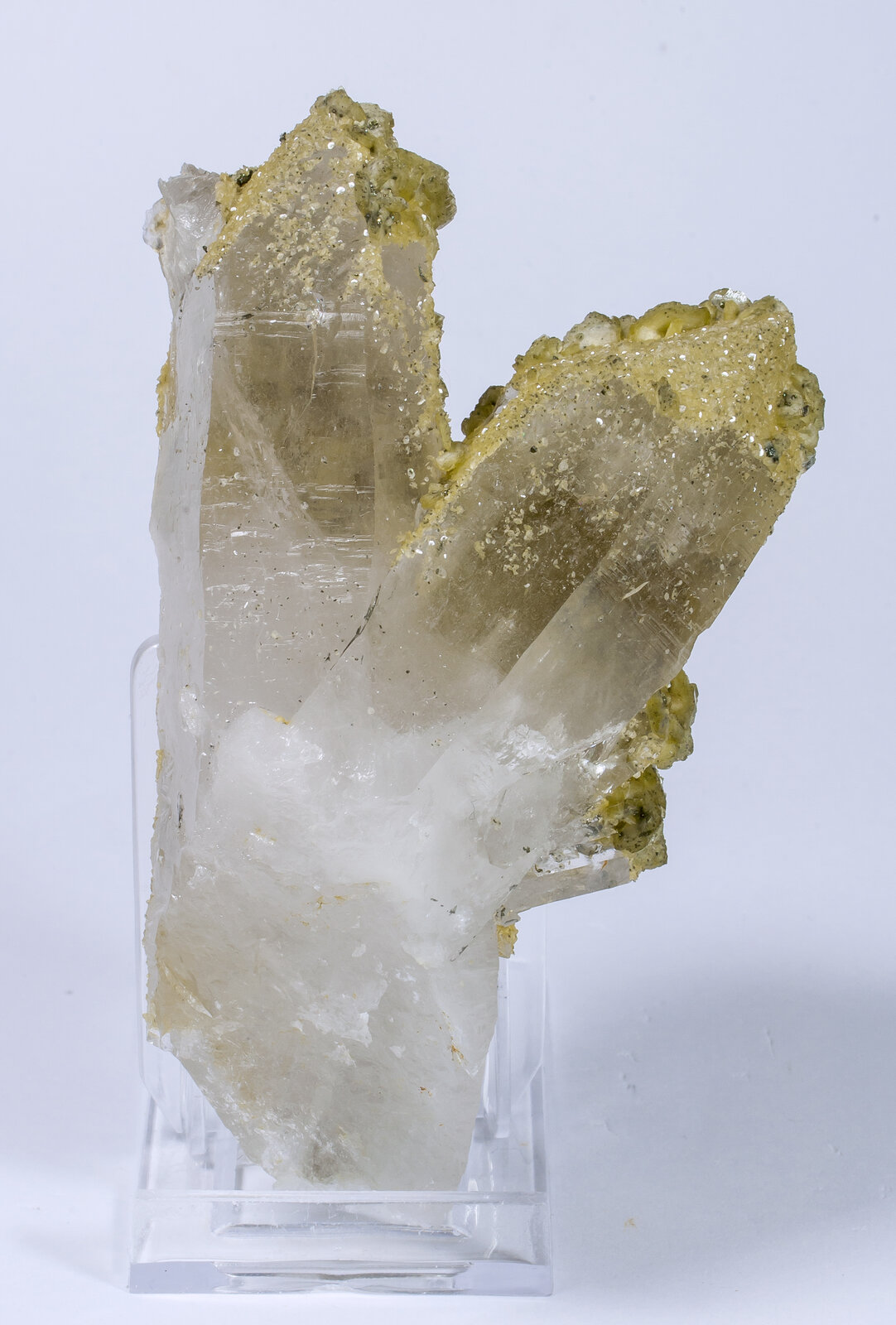 specimens/s_imagesAM8/Siderite-NW27AM8r.jpg