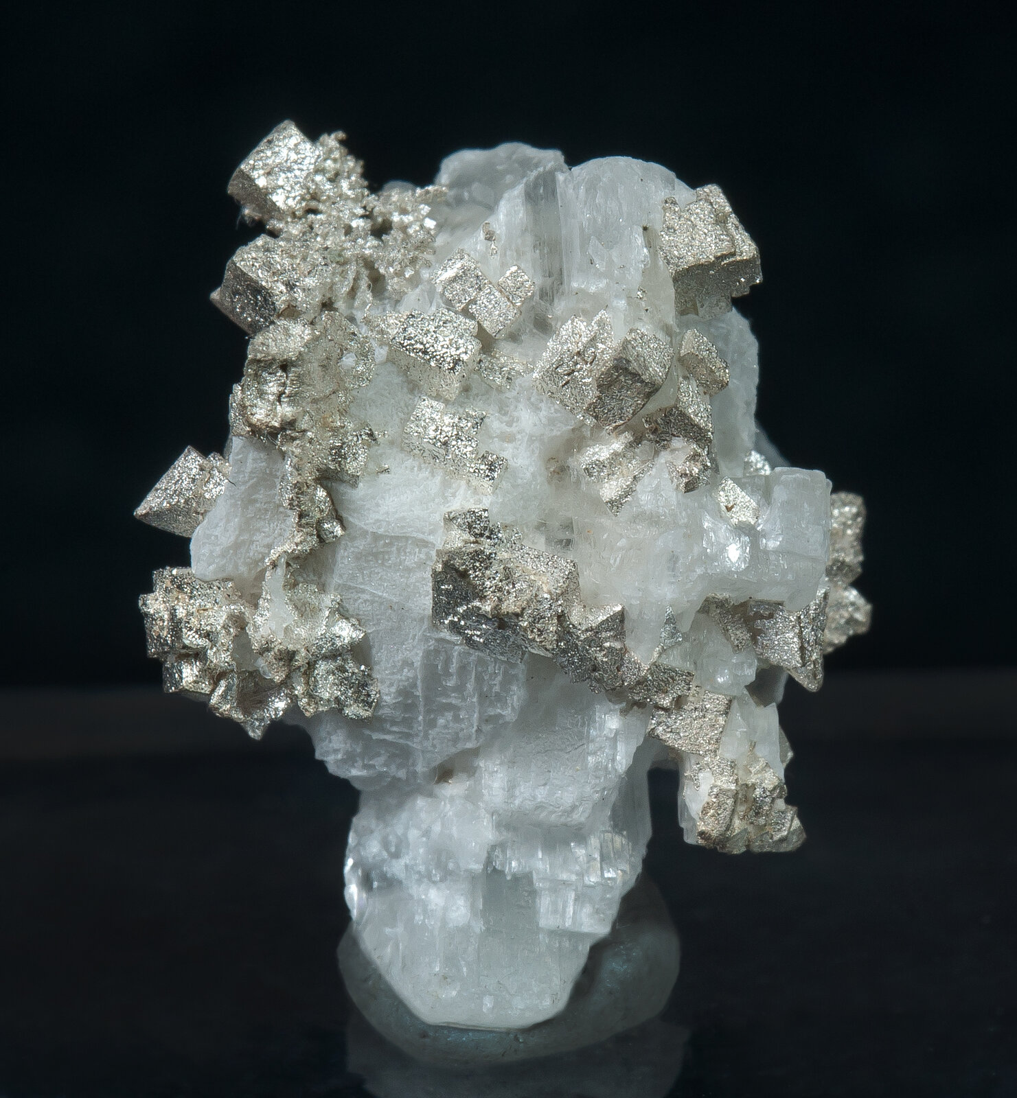 specimens/s_imagesAN1/Silver-TV87AN1f.jpg
