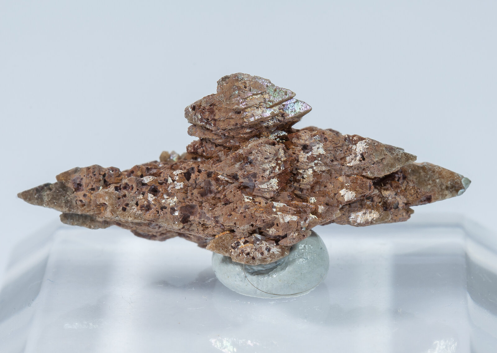 specimens/s_imagesAN2/Anatase-EA97AN2r.jpg