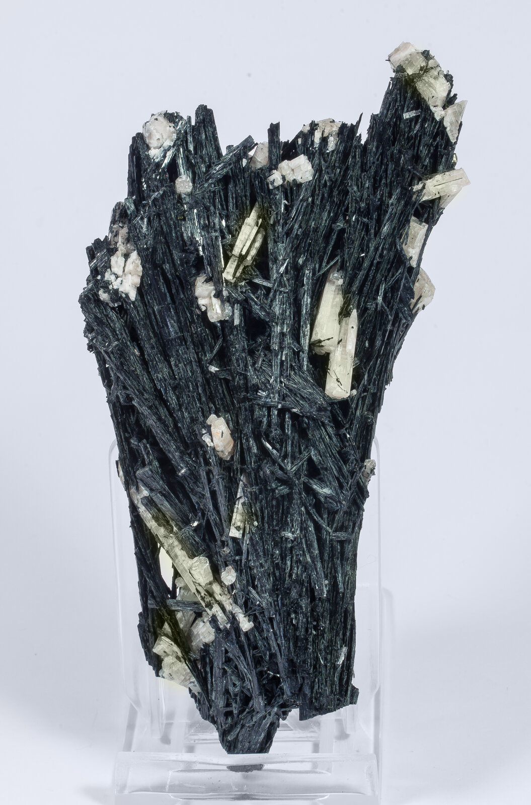 specimens/s_imagesAN3/Chlorapatite-TLC86AN3r.jpg