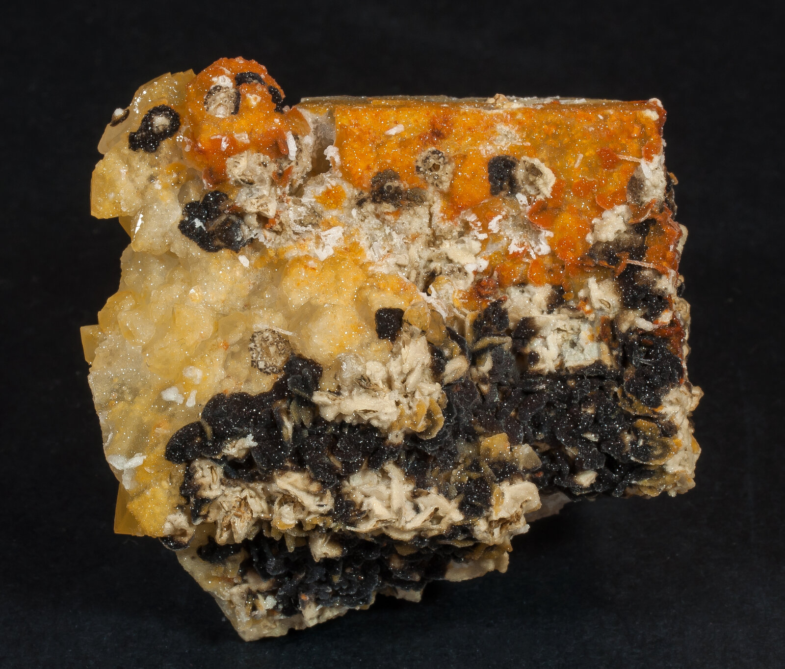 specimens/s_imagesAN3/Fluorite-TZP96AN3s1.jpg