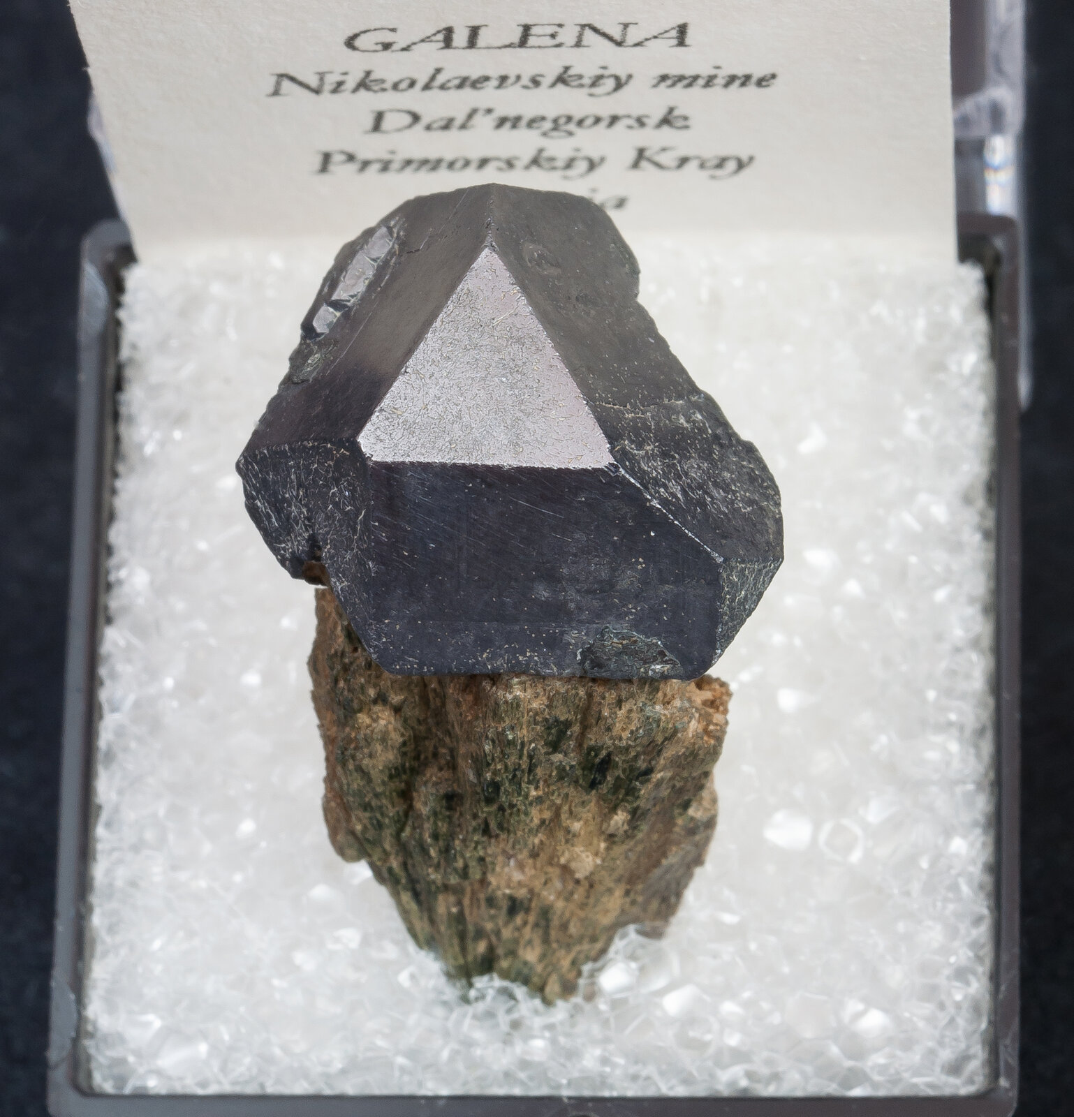 specimens/s_imagesAN4/Galena-THJ64AN4t.jpg