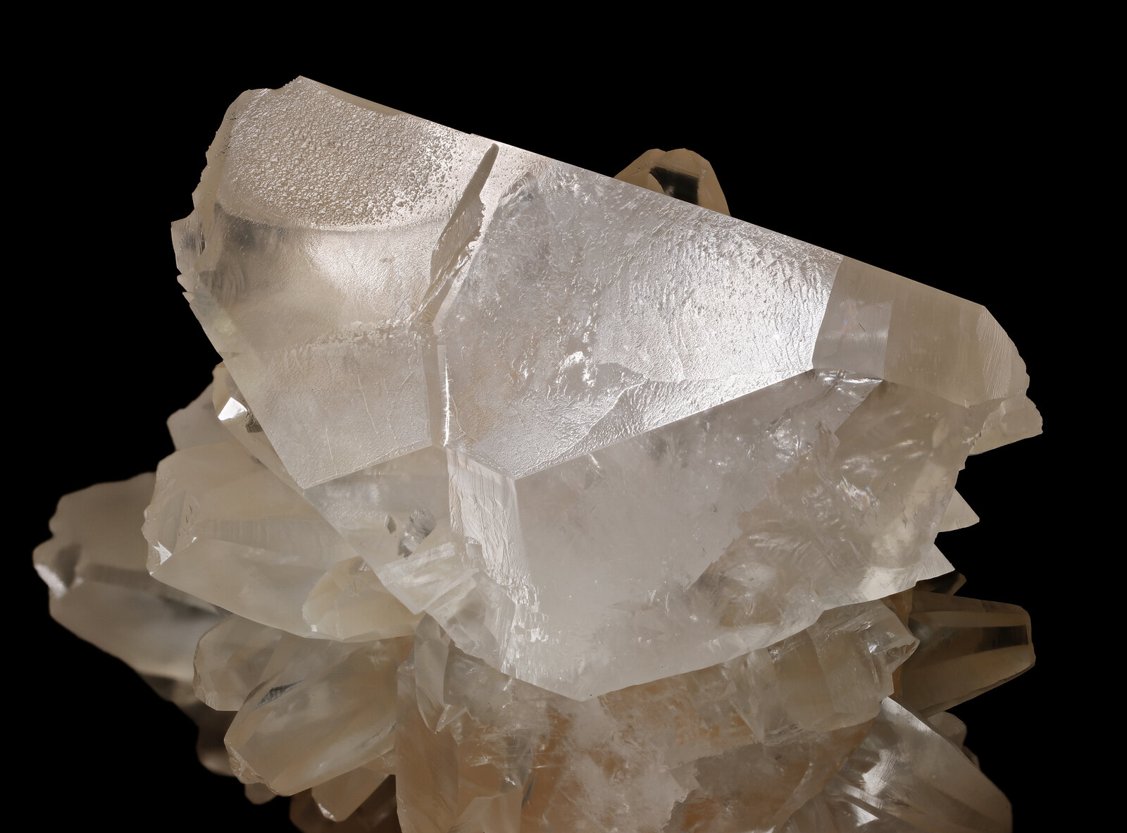 specimens/s_imagesAN6/Calcite-TRM67AN6_1336_d.jpg