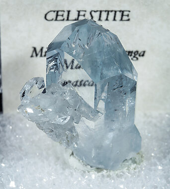 Celestina. 