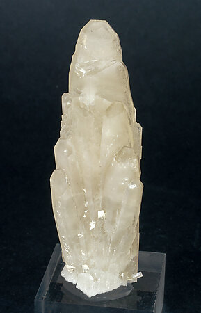 Celestina. Vista frontal