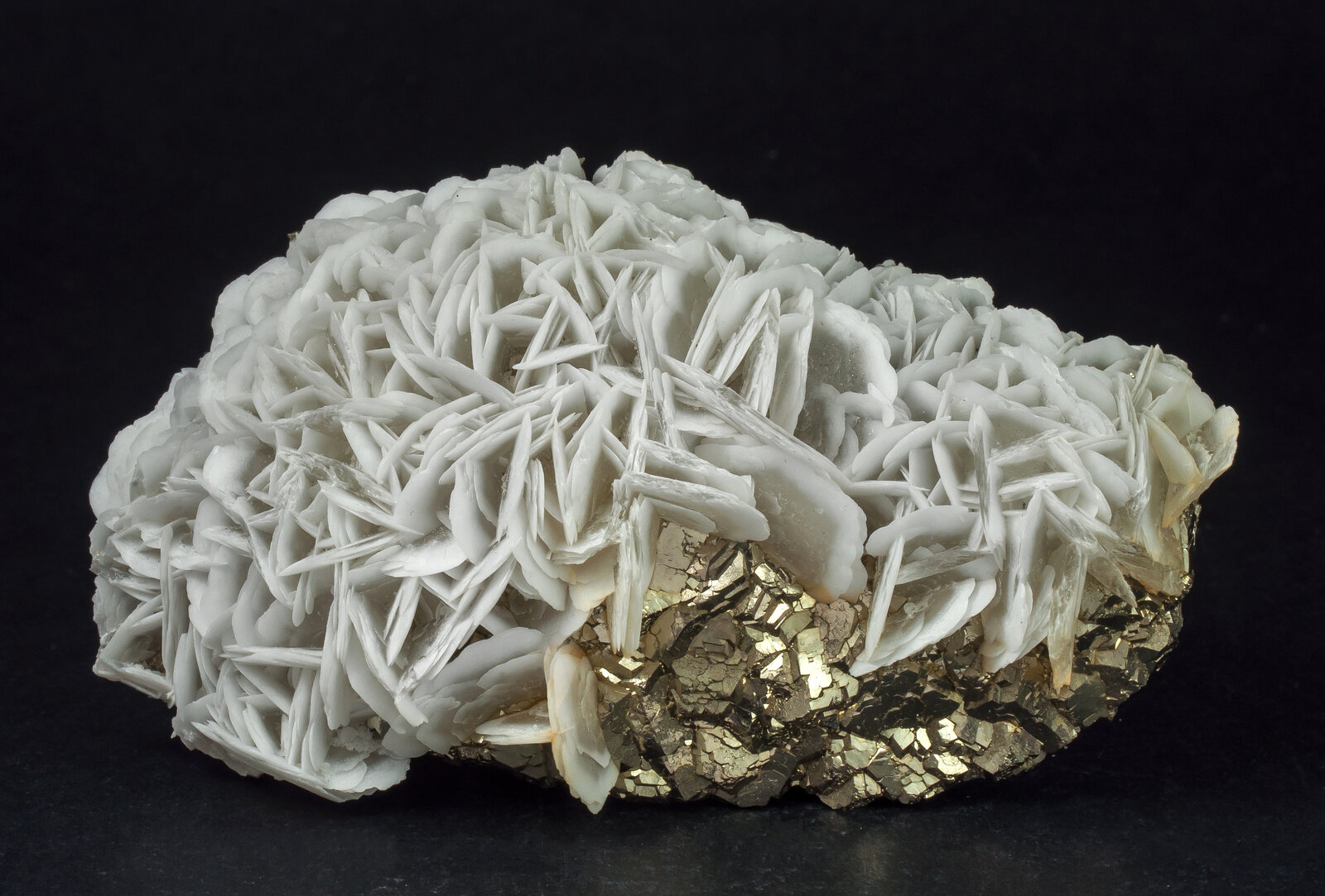 specimens/s_imagesAN7/Pyrite-NRA66AN7f.jpg