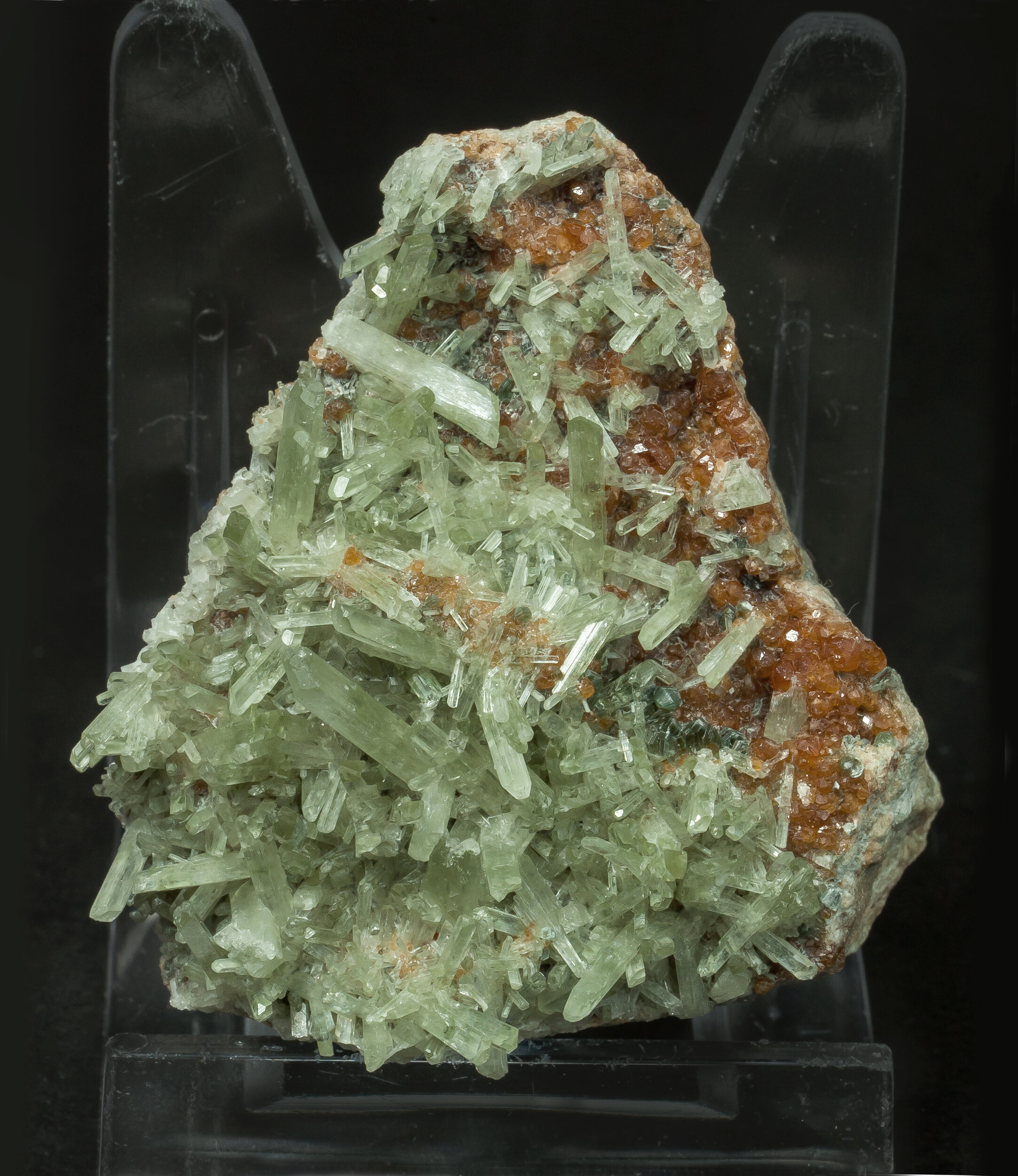 specimens/s_imagesAO0/Diopside-CMB96AO0f.jpg