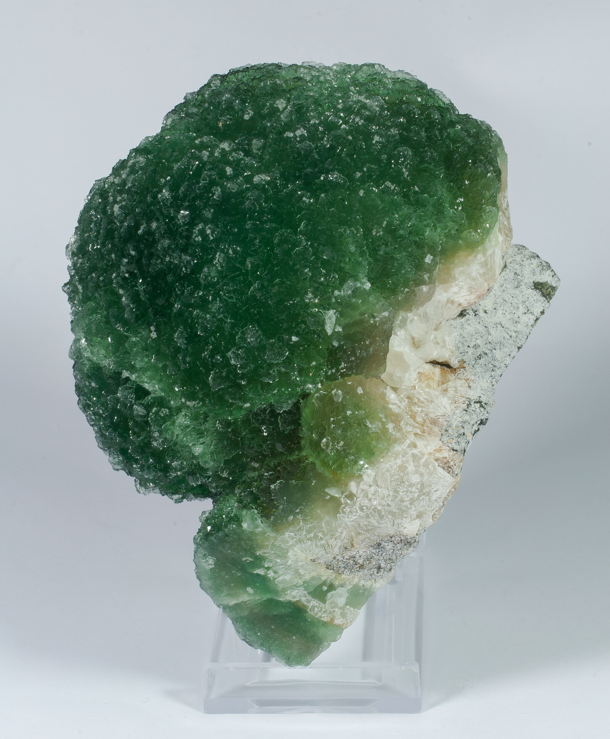 specimens/s_imagesAO0/Fluorite-MXJ92AO0s.jpg