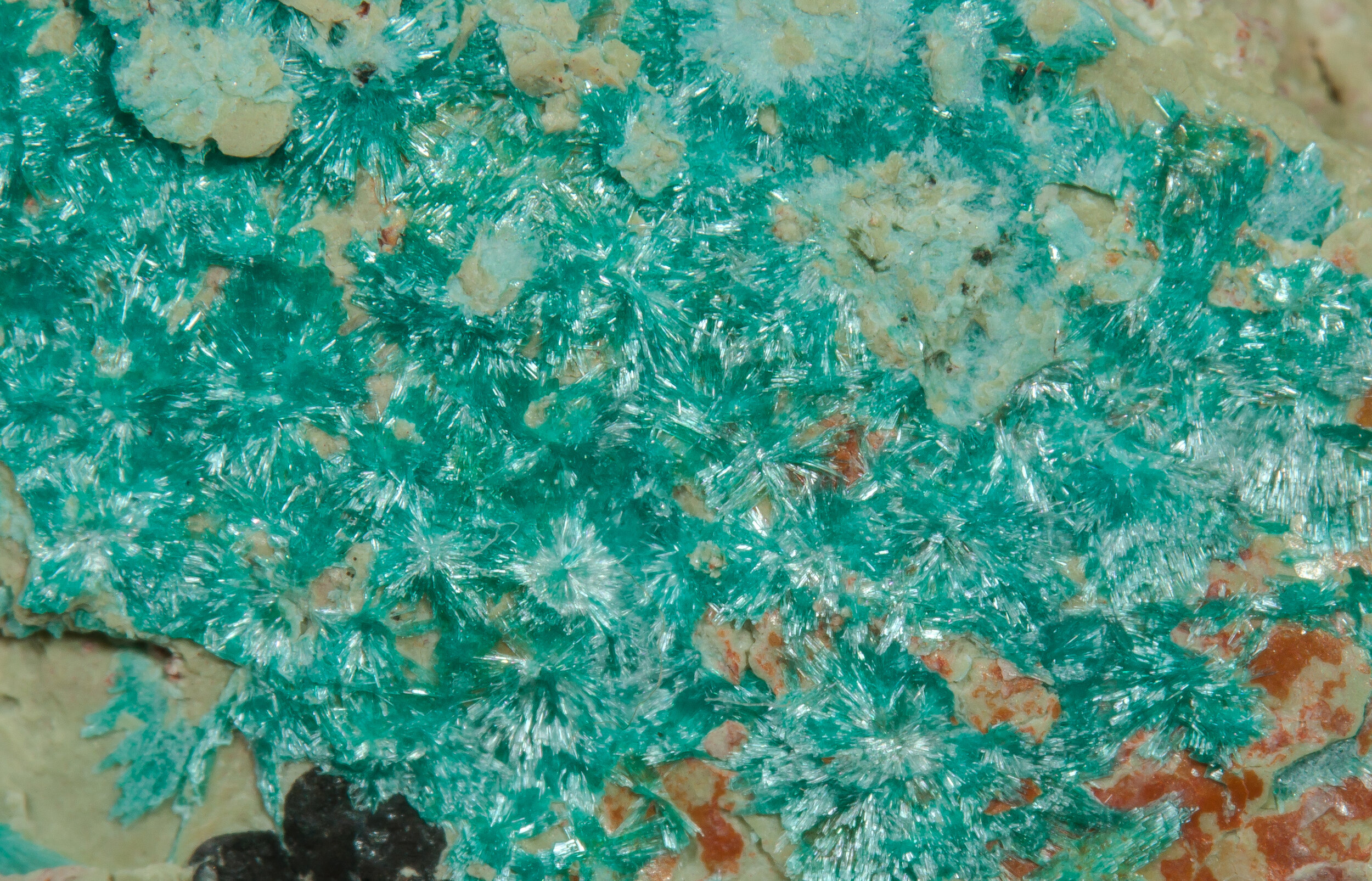 specimens/s_imagesAO1/Serpierite-EFM14AO1d.jpg