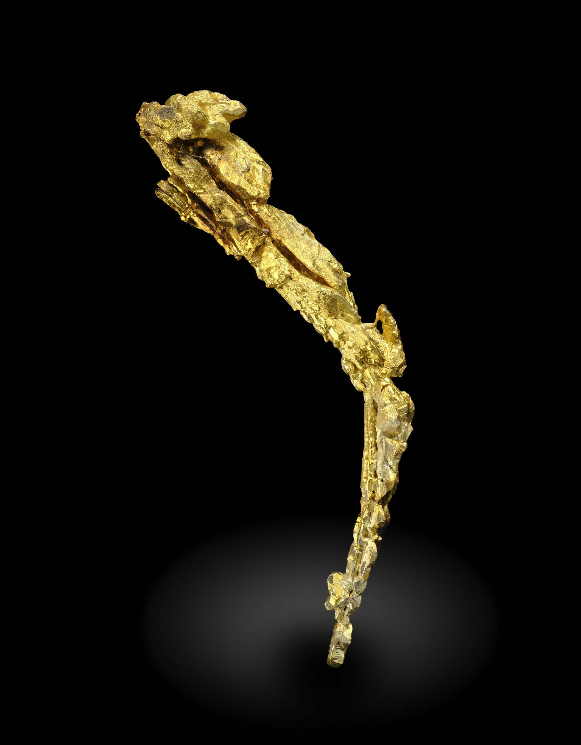 specimens/s_imagesAO2/Gold-EFL74AO2_3005_r.jpg