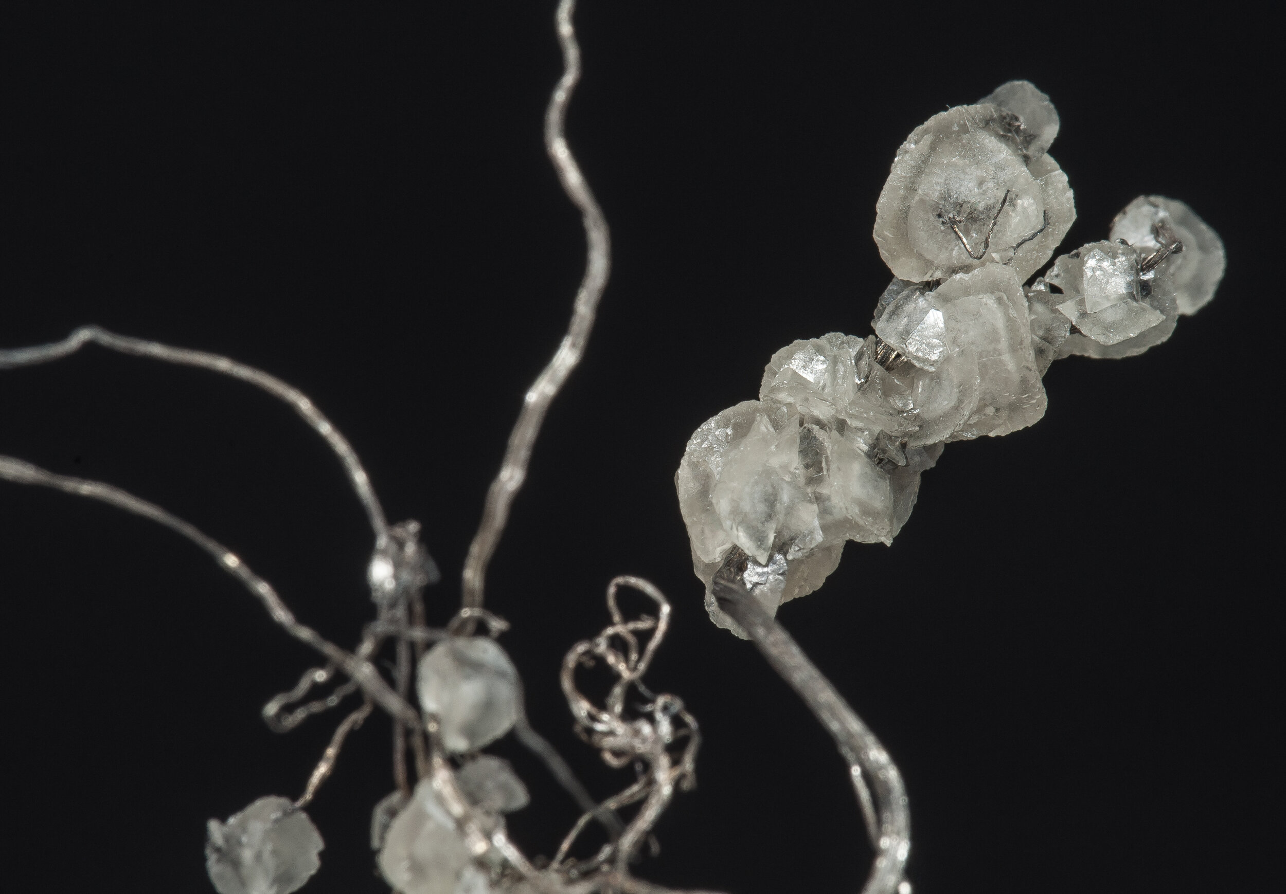 specimens/s_imagesAO2/Silver-MPB16AO2d2.jpg
