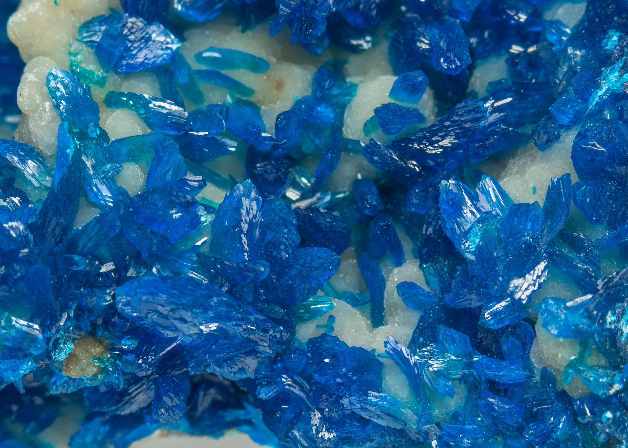 specimens/s_imagesAO2/Veszelyite-MXE70AO2d1.jpg