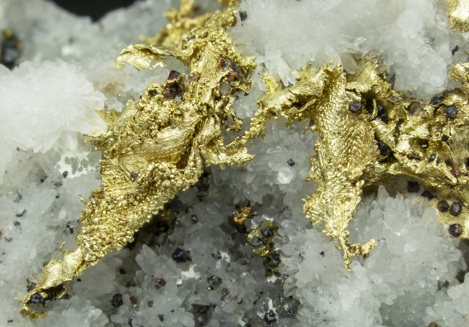 specimens/s_imagesAO4/Gold-TLP96AO4d2.jpg