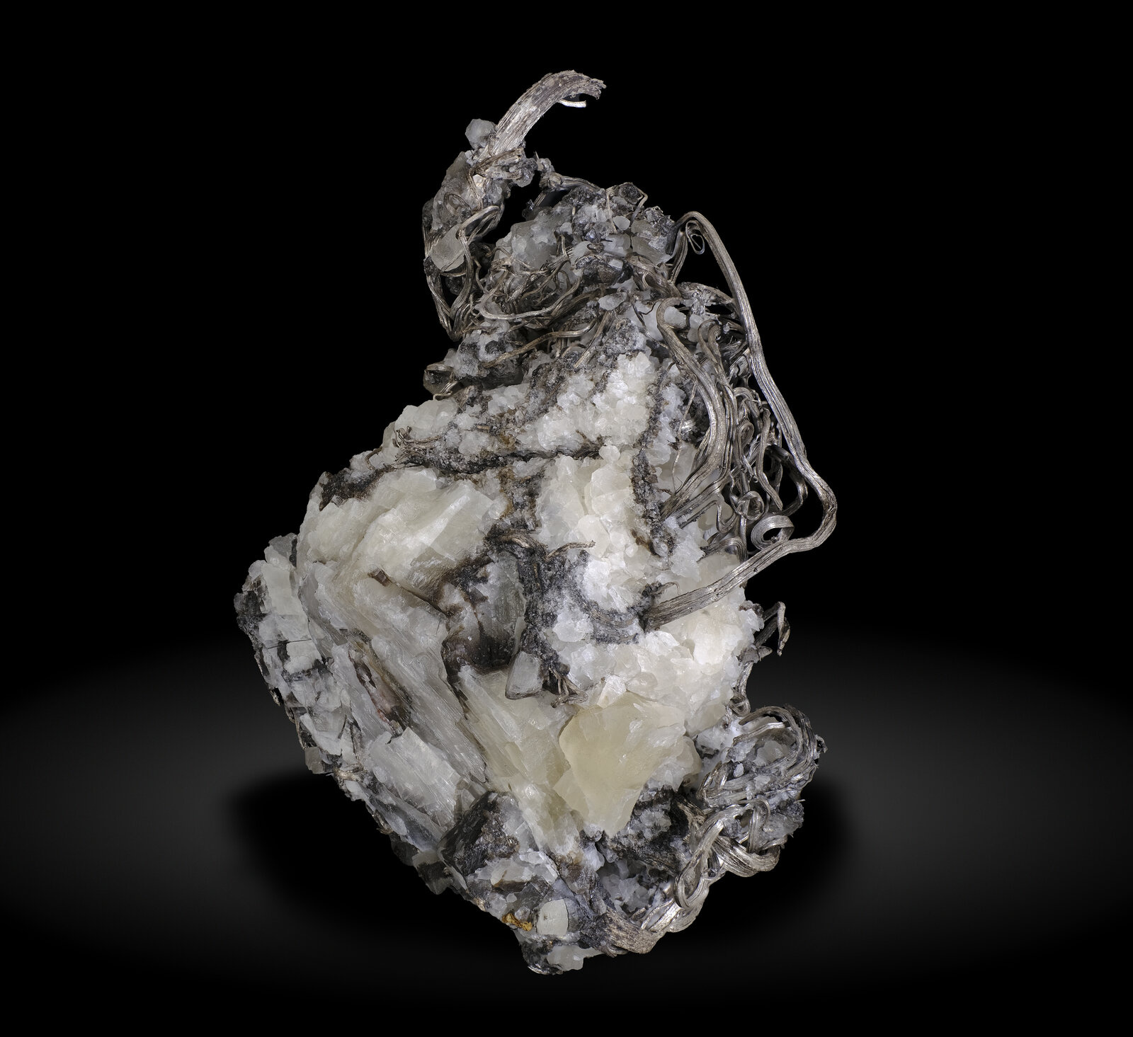 specimens/s_imagesAO4/Silver-TLP48AO4-3919r.jpg