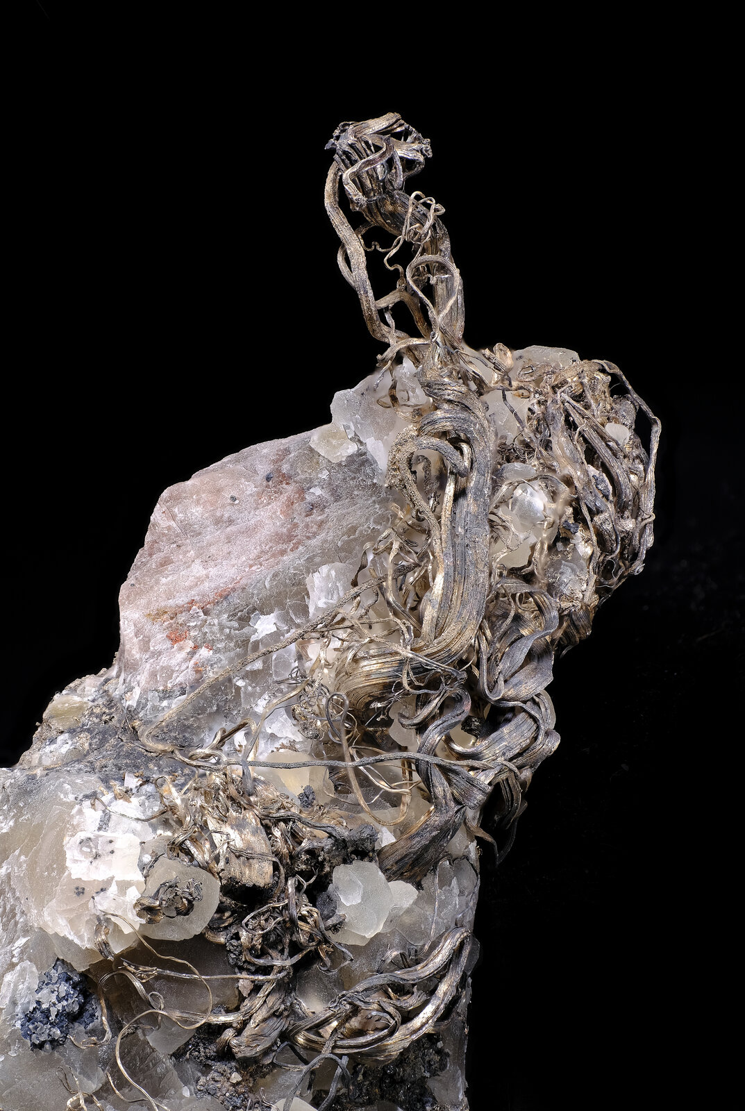 specimens/s_imagesAO5/Silver-TMB88AO5_3457_d1.jpg