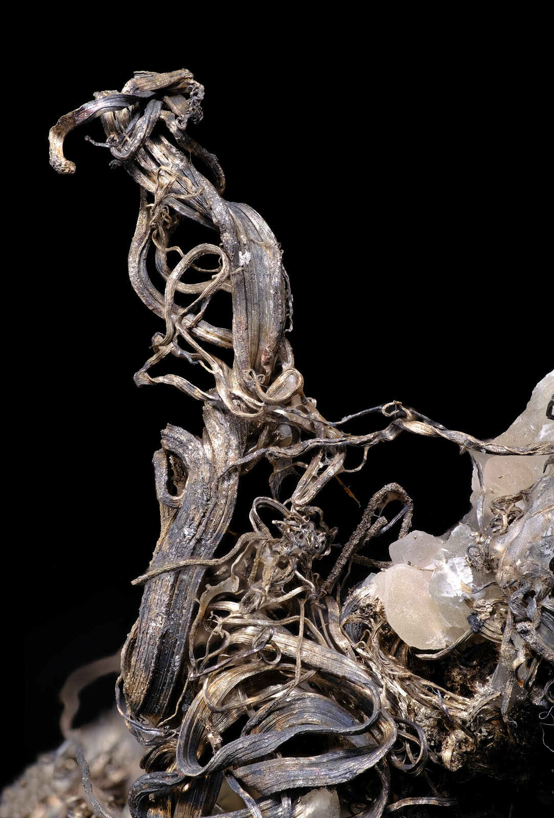 specimens/s_imagesAO5/Silver-TMB88AO5_3740_d3.jpg