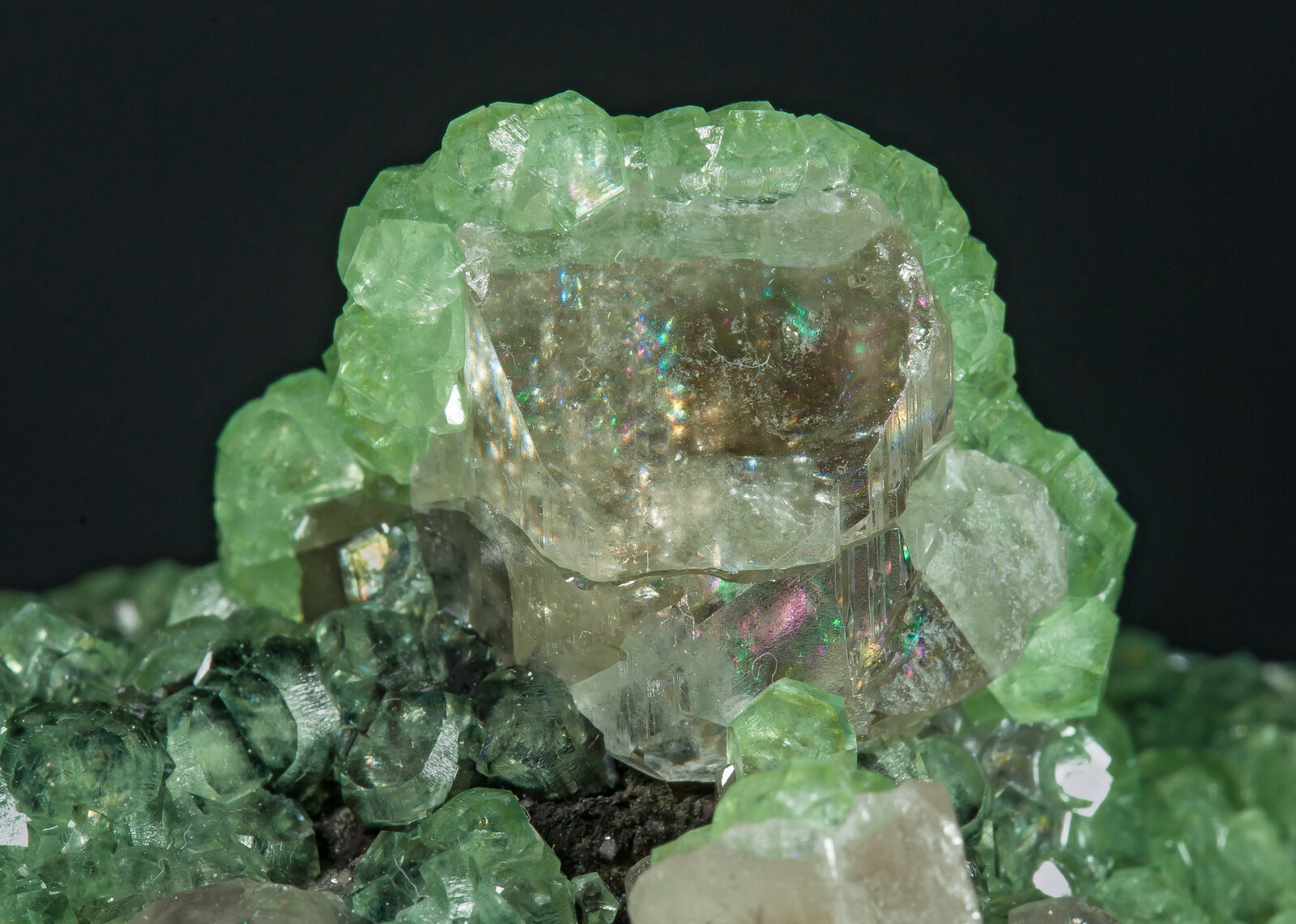 specimens/s_imagesAO5/Smithsonite-BFR37AO5d3.jpg