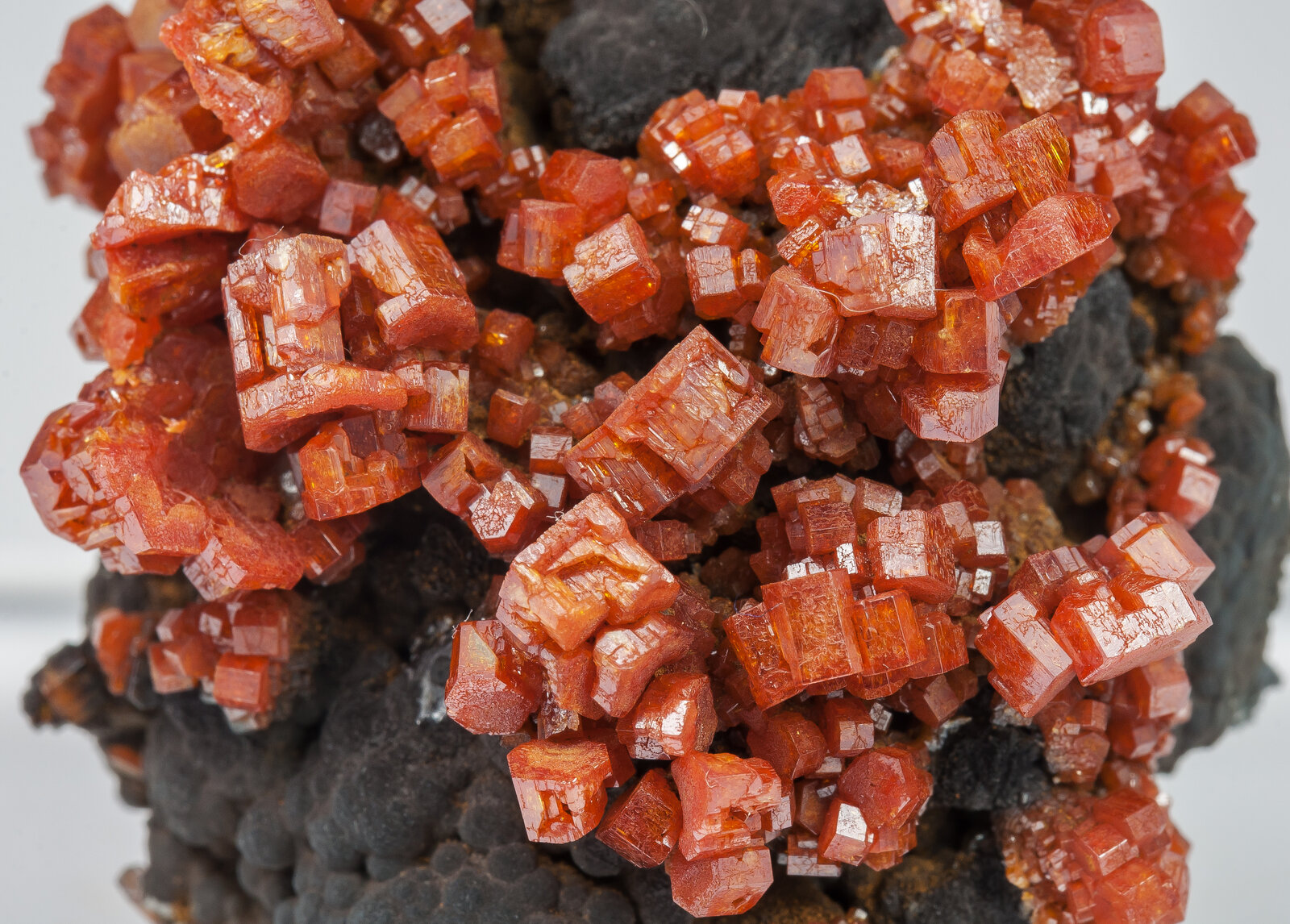 specimens/s_imagesAO5/Vanadinite-TFB96AO5d.jpg