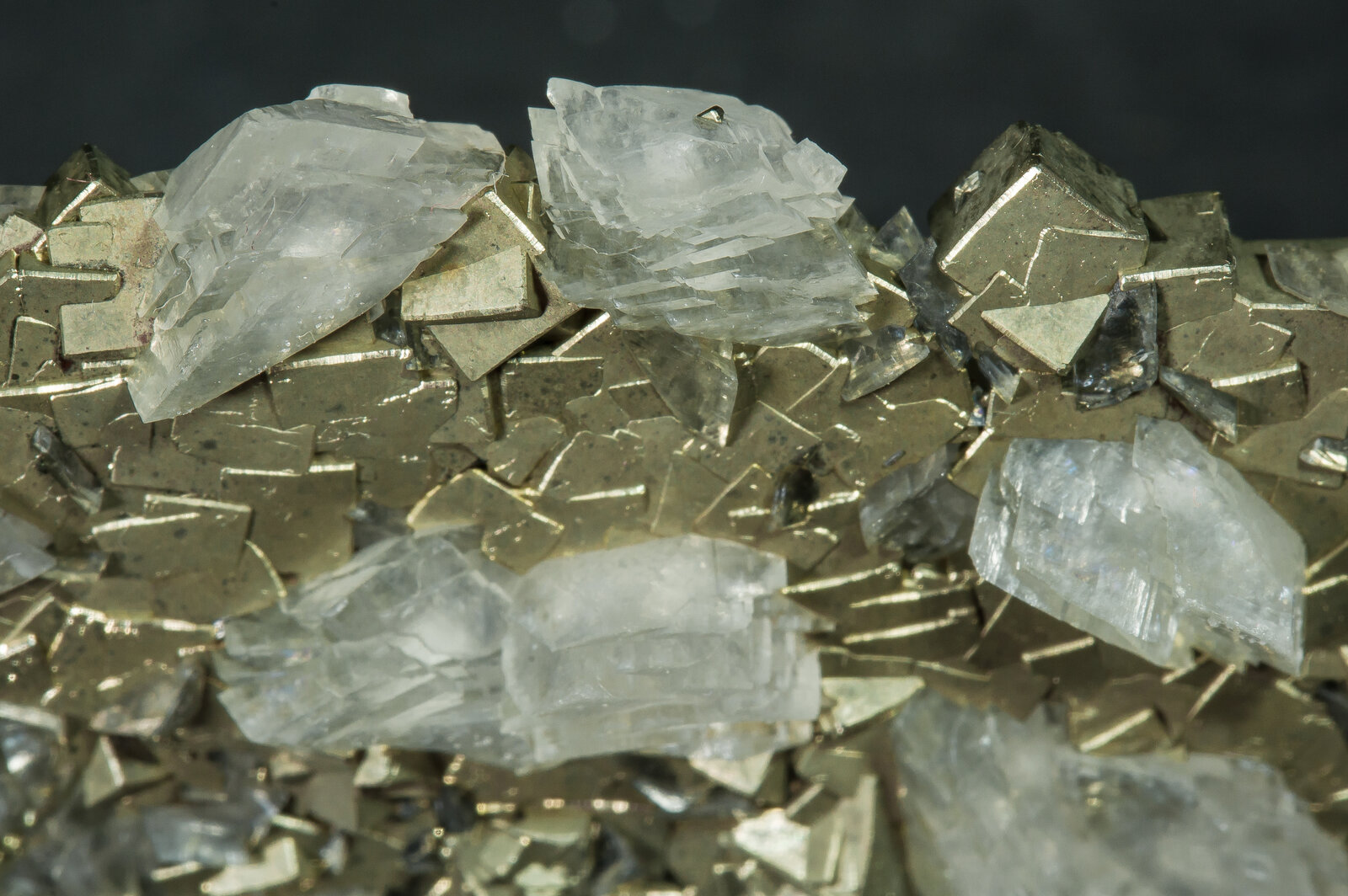 specimens/s_imagesAO8/Pyrite-JFD161AO8d.jpg